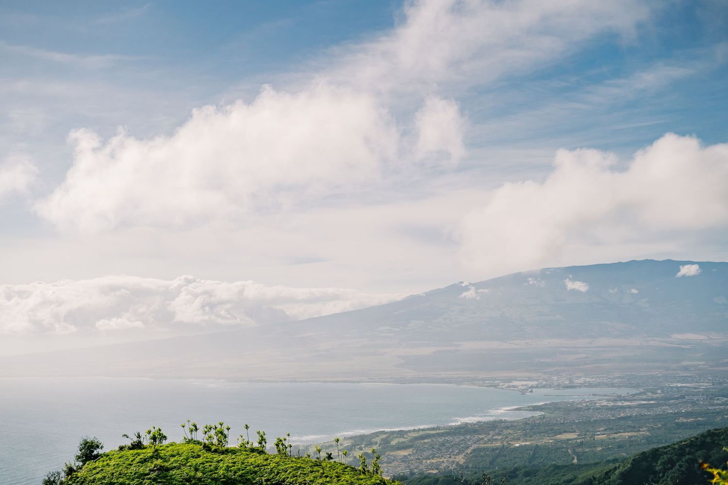 A scenic panoramic view of the Hawaiian coastline with mountains, palm trees, and blue ocean under a cloudy sky.
