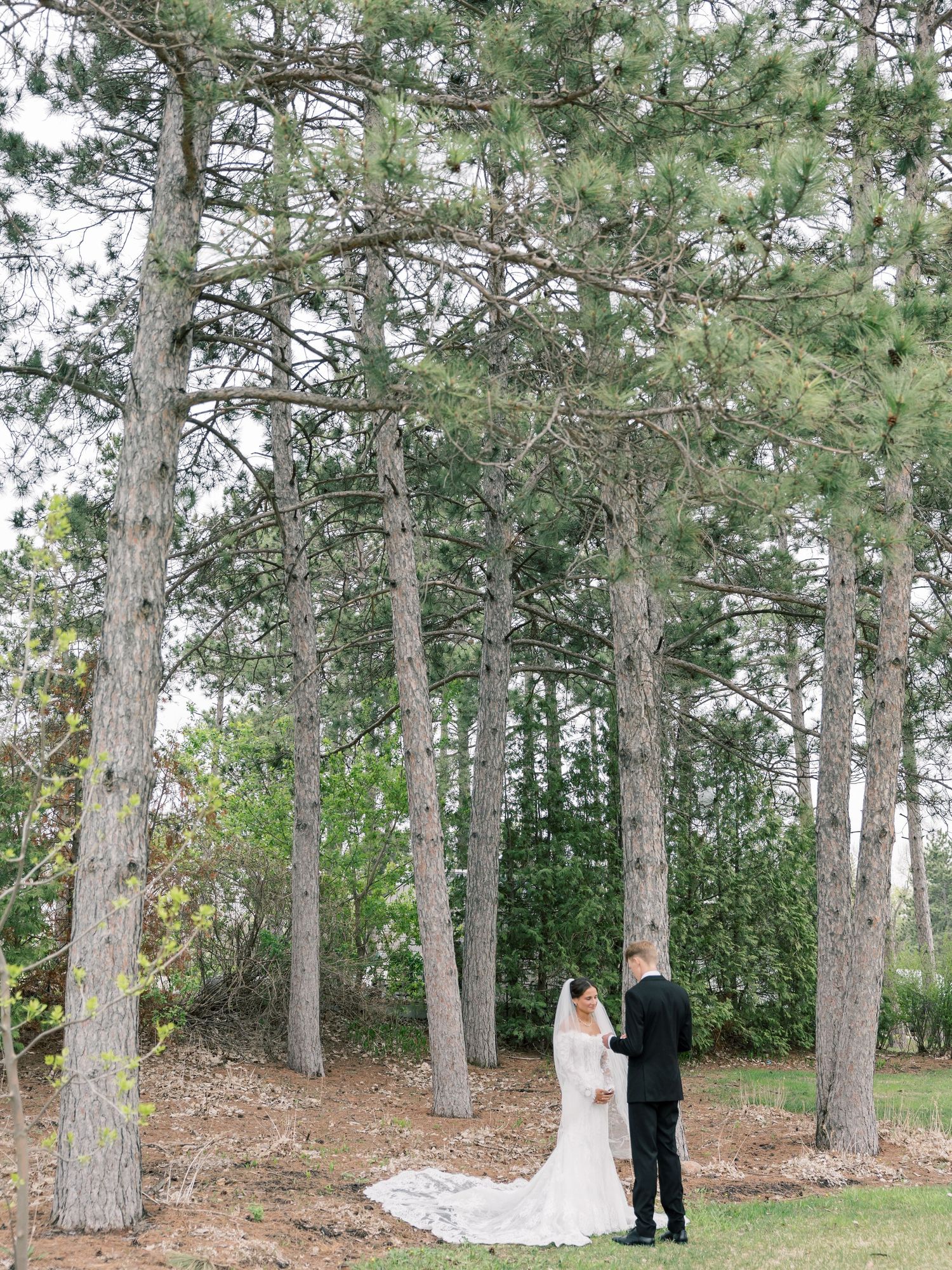 Bride and groom stand together among tall pine trees, bride's long white veil trailing on the ground.