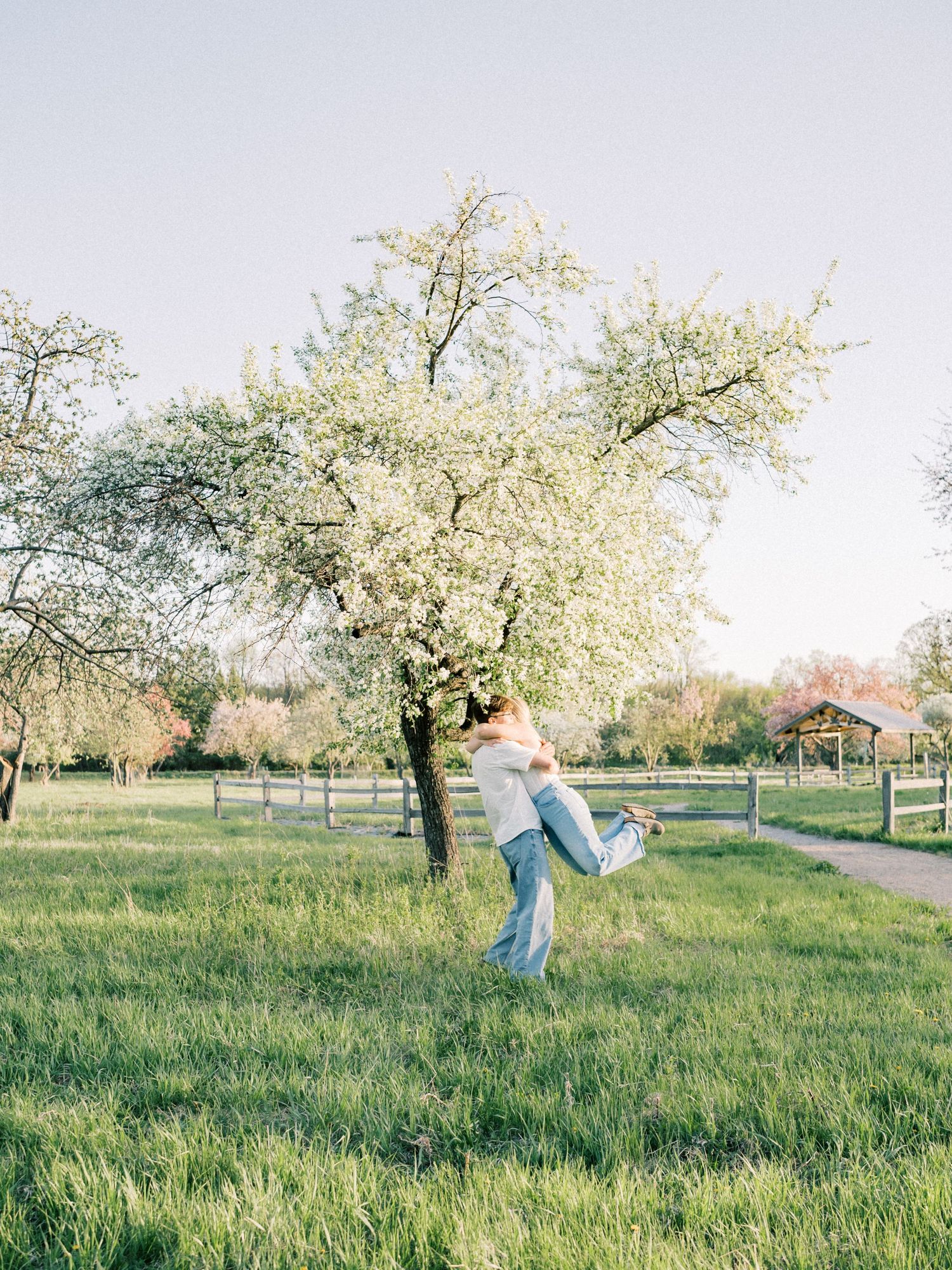 A couple embraces and spins joyfully in a lush green meadow beside a blooming white flowering tree at golden hour.