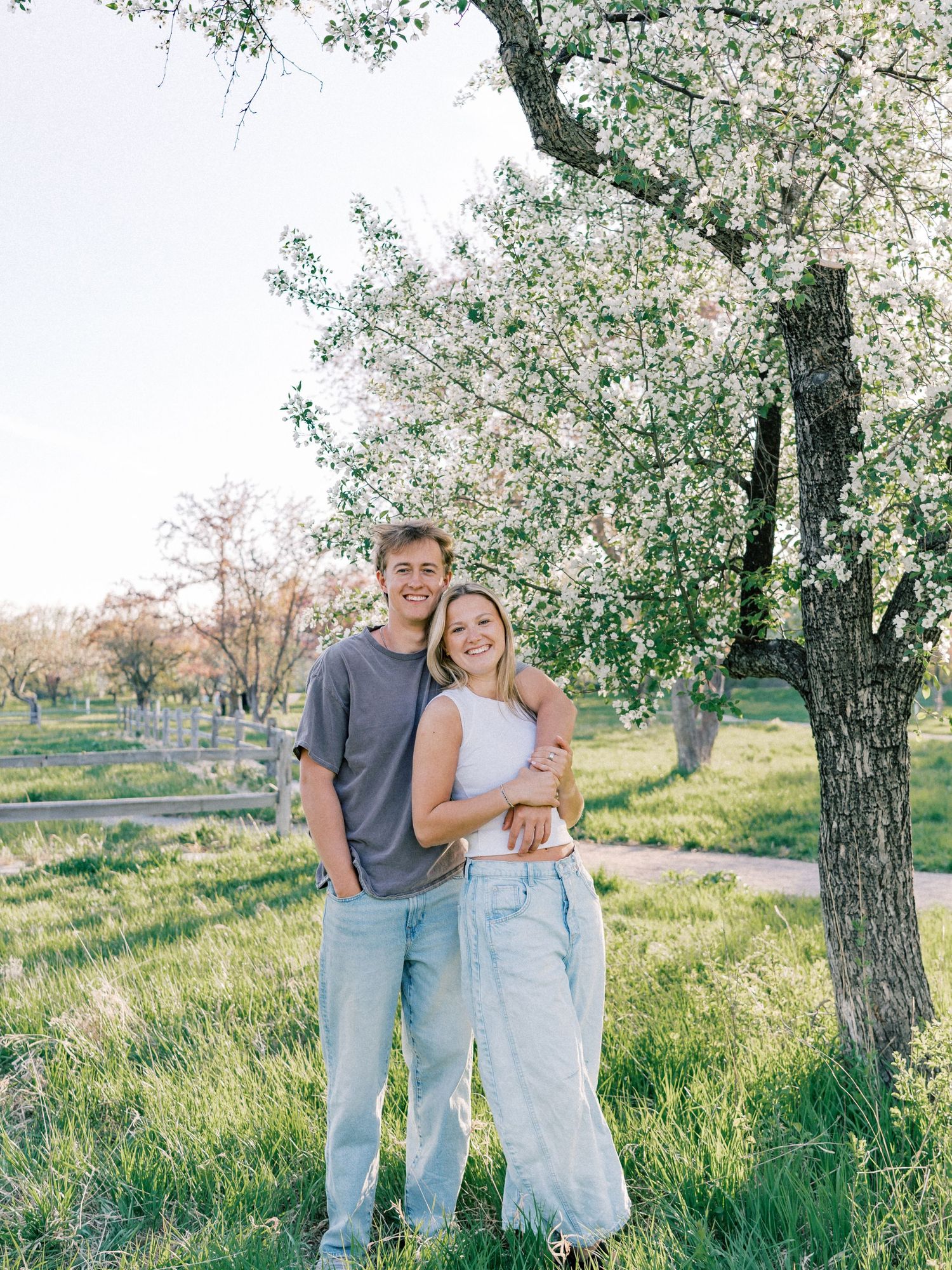 Couple embracing under blooming white flowering tree in green meadow, wearing casual jeans and tops in spring.