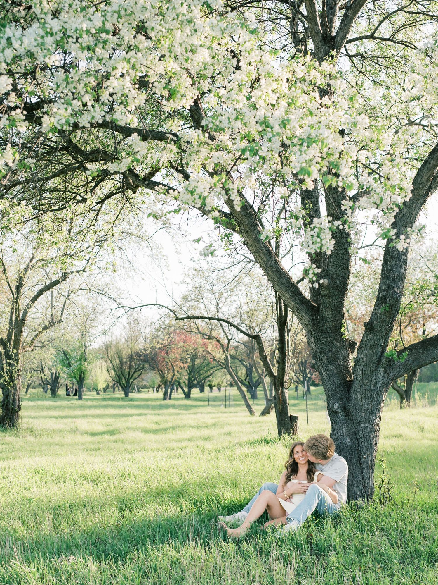 Couple sitting together under a blooming white flowering tree in a lush green park during spring.