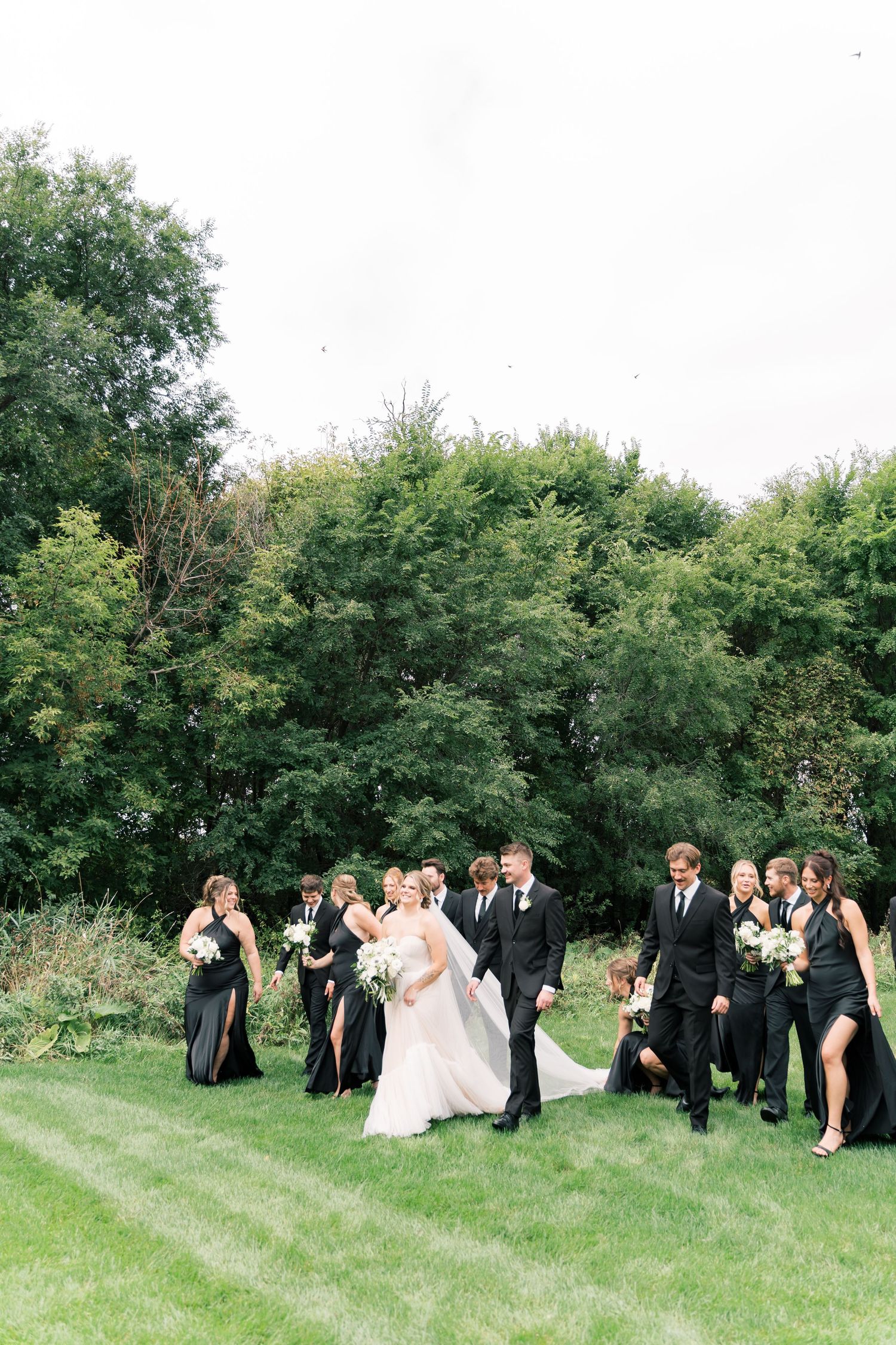 Wedding party in formal attire poses together on a grassy hillside surrounded by green trees on a sunny day.