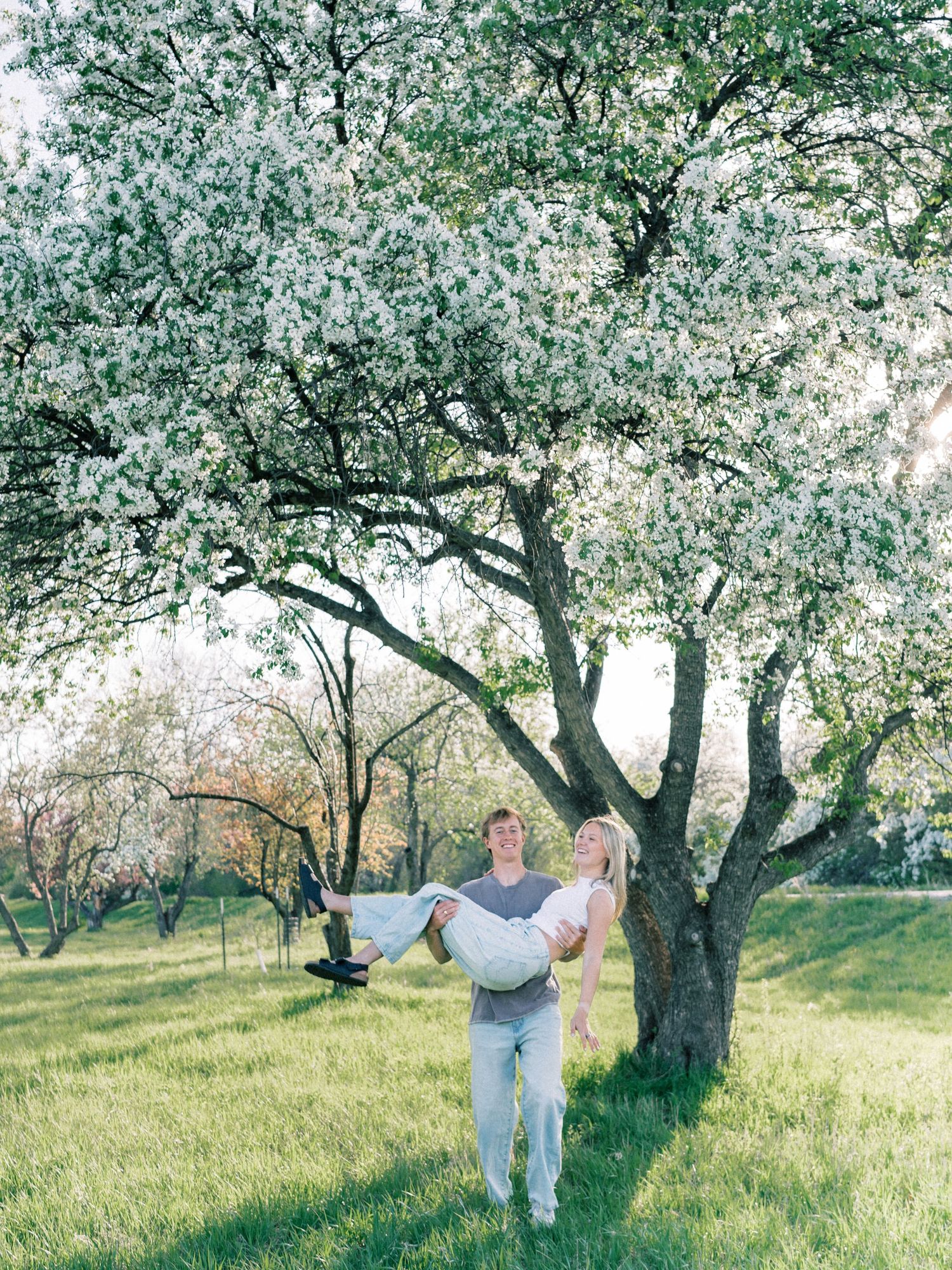Groom carries bride under blooming white flowering tree on lush green grass during spring outdoor wedding photo session.