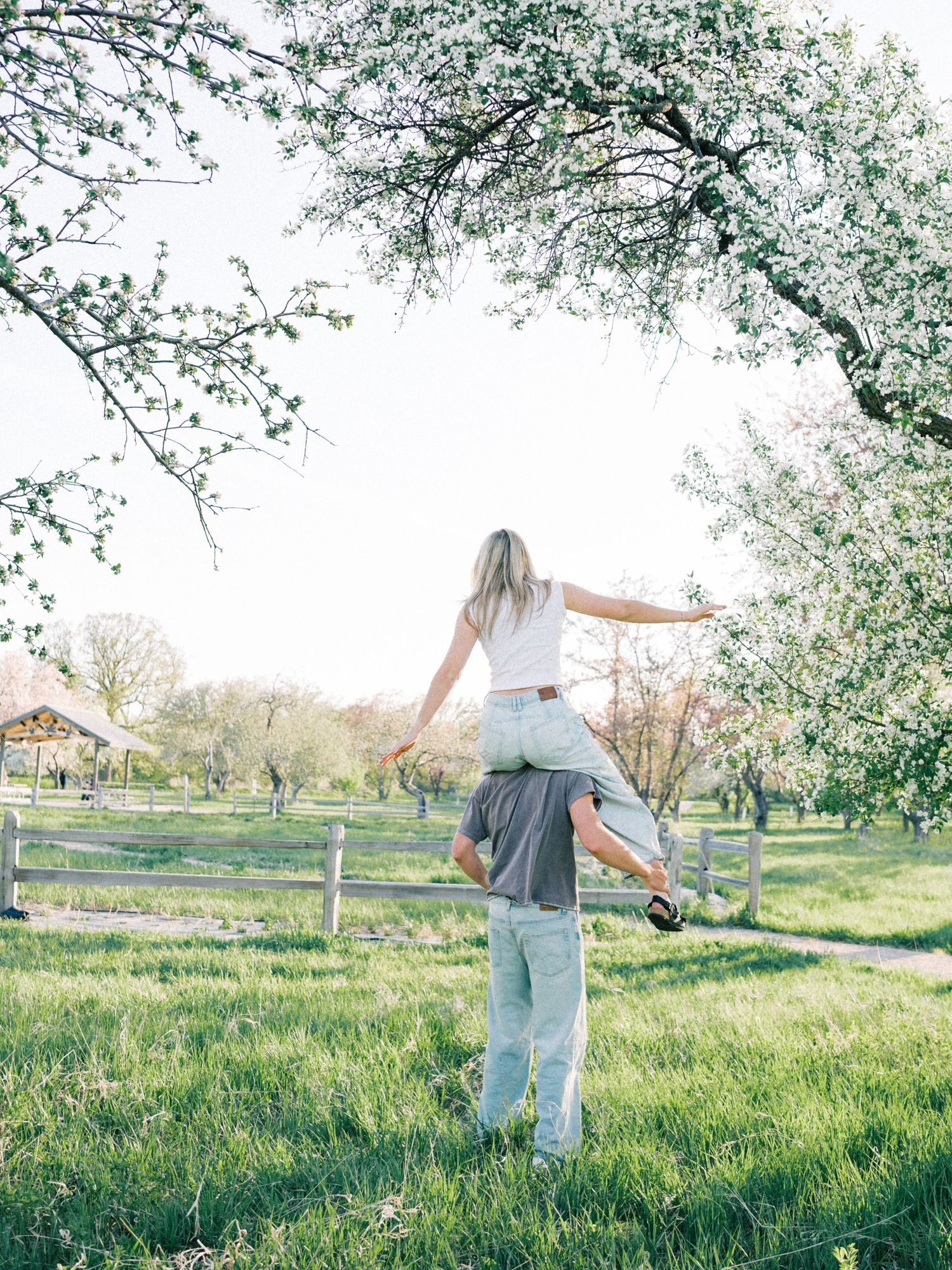 A couple enjoys a sunny day under blooming trees, with the woman sitting on the man's shoulders in a lush green park.