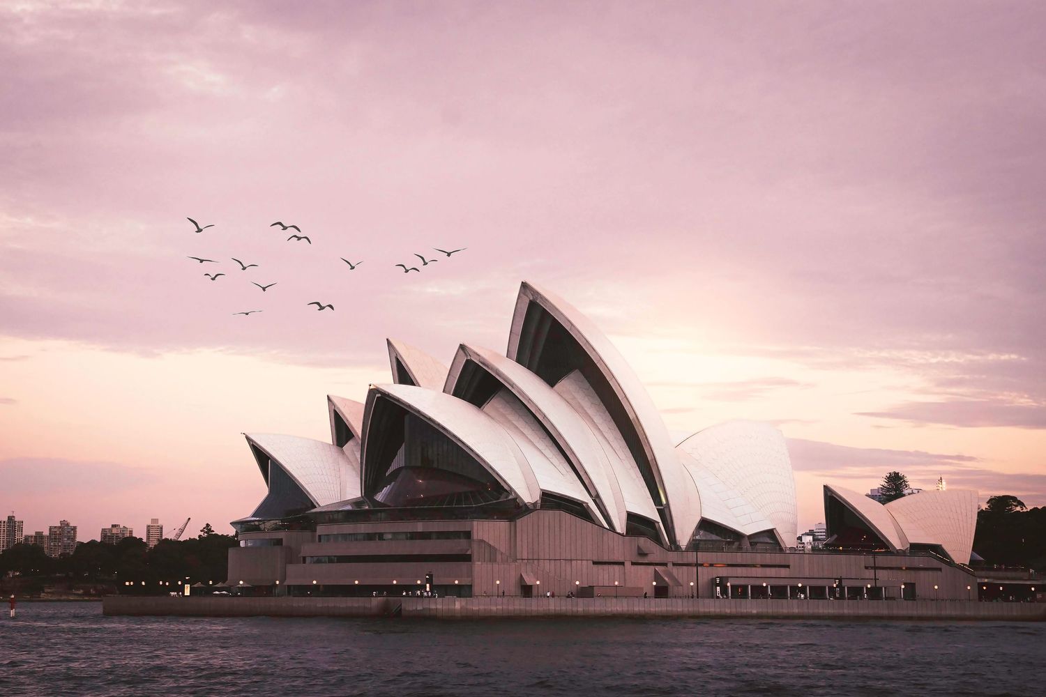Sydney Opera House silhouette against a pink sunset sky with birds flying overhead and Australian flags waving.