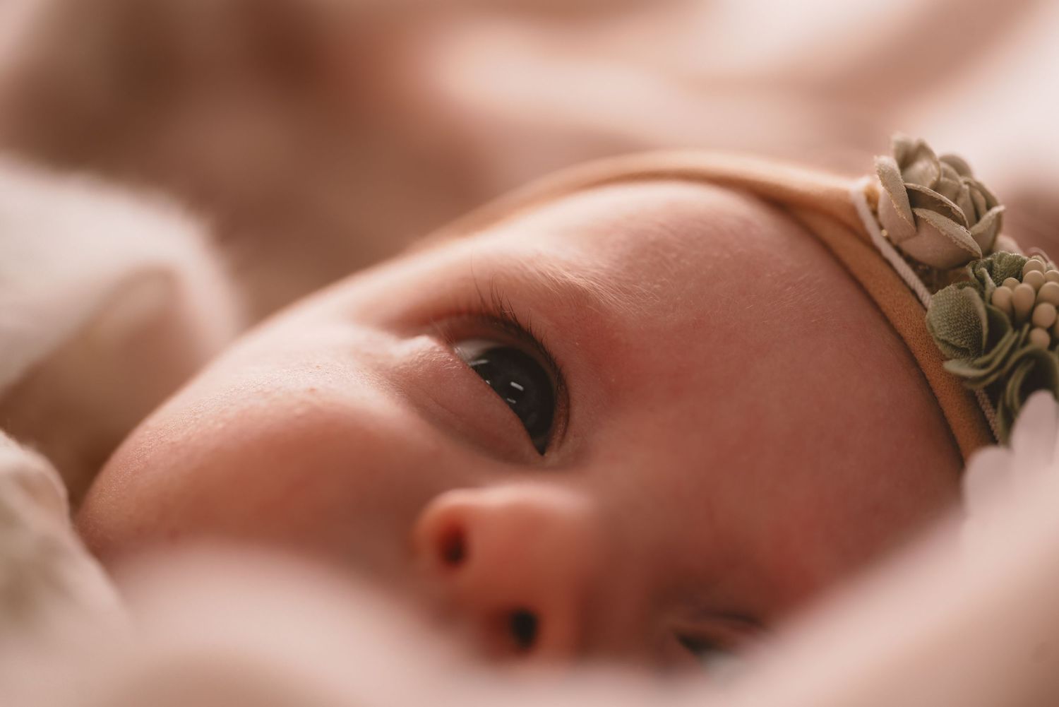 Close-up portrait of a newborn baby wearing a floral headband, lying on a soft pink blanket.