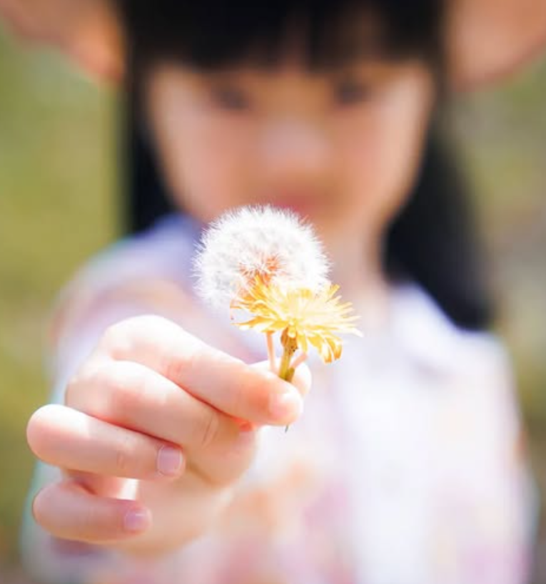 Hand holding up a delicate white dandelion seedhead against a soft blurred background.