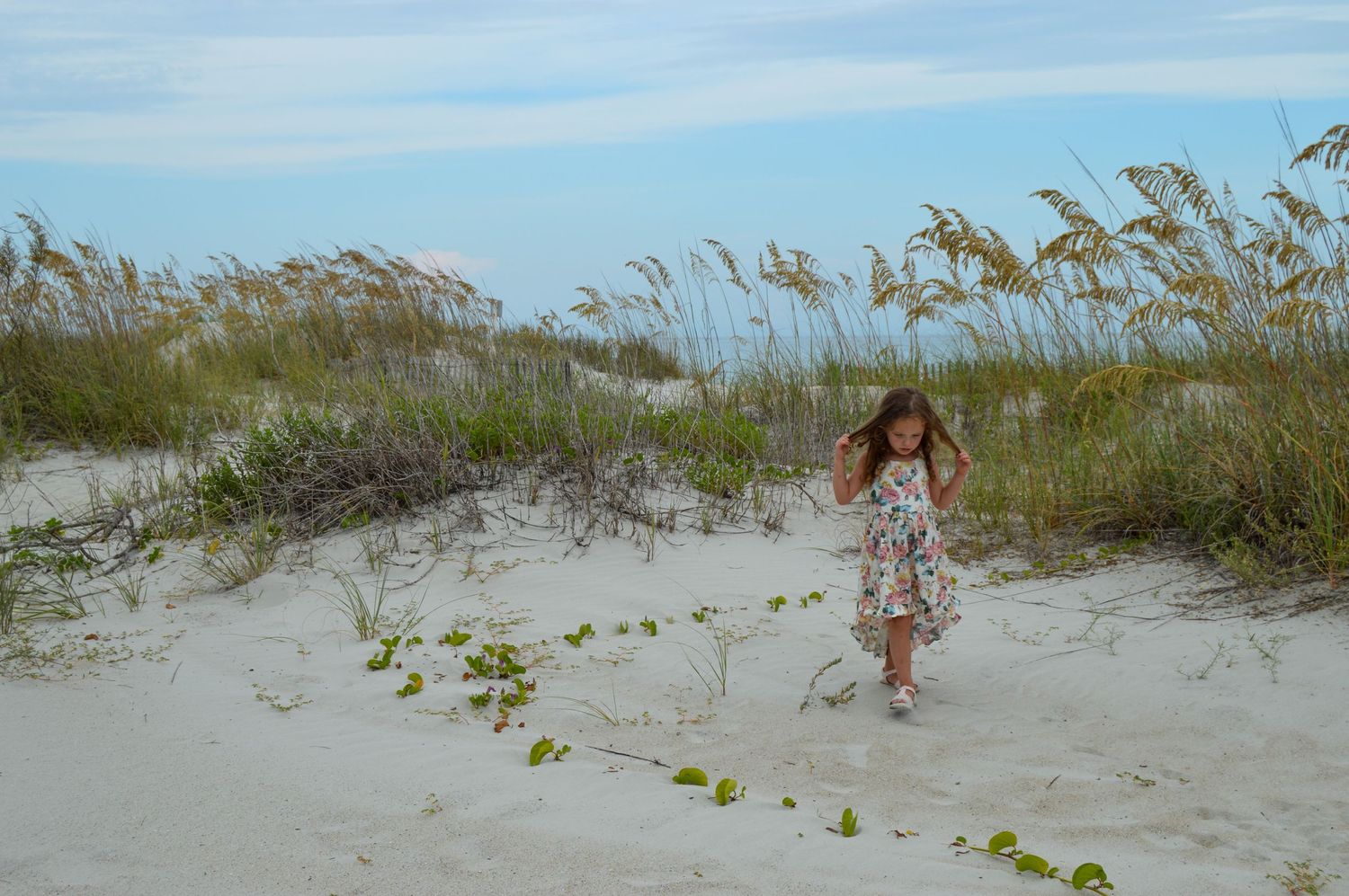 Beach scene with sand dunes and sea oats swaying in the breeze at sunset.