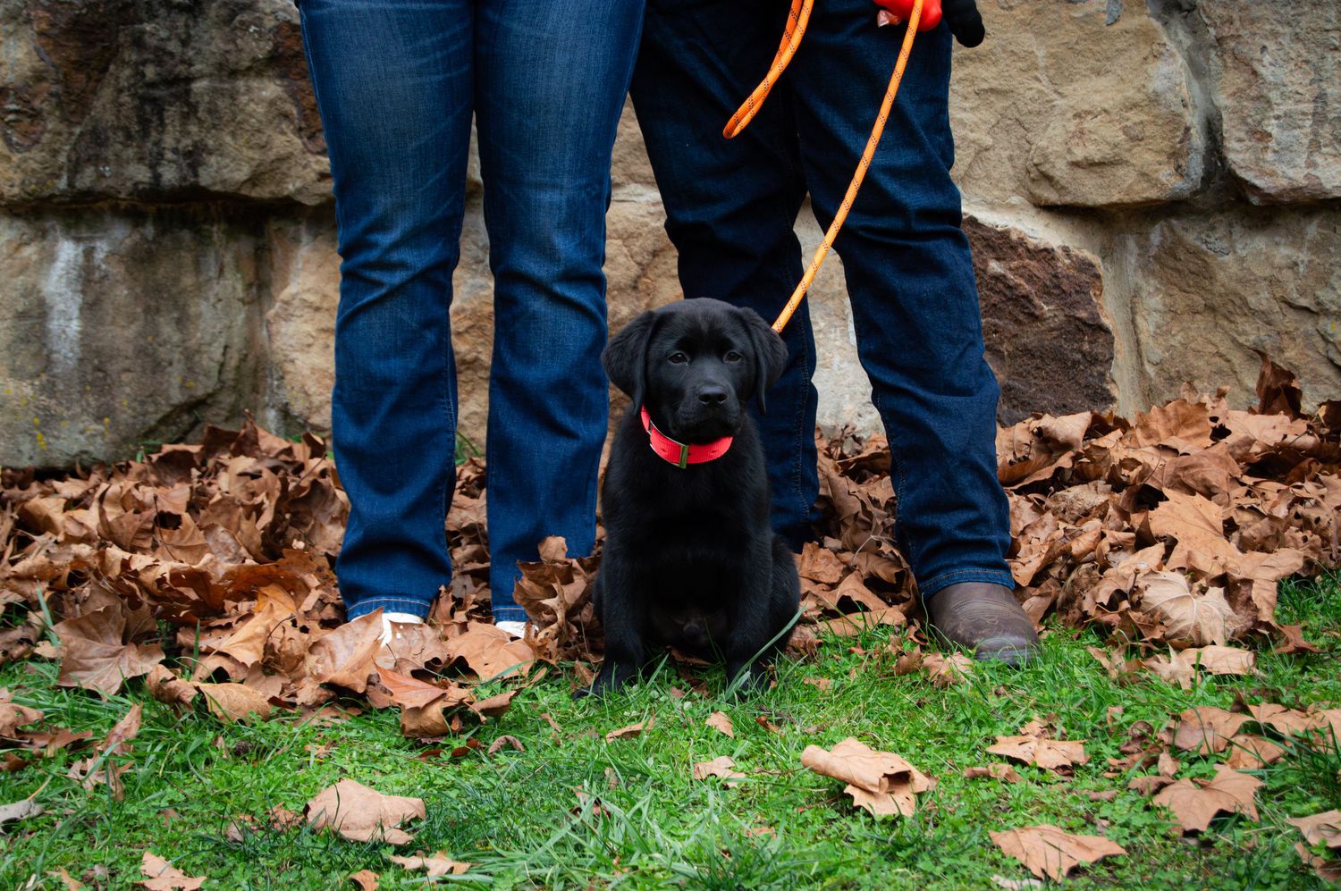 Two pairs of legs in jeans and shoes stand on grass and fallen autumn leaves near a stone wall.