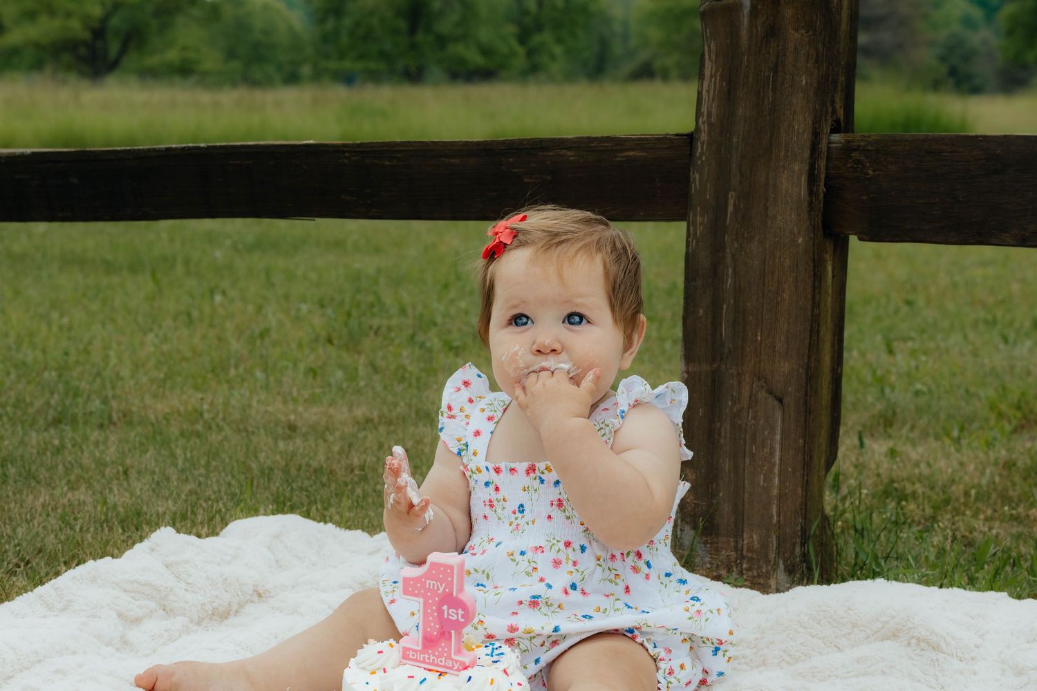 1 year old cake smash Milestone photos 
big rapids mi
west Michigan photographer 
photo by: Lydia Rae Photography