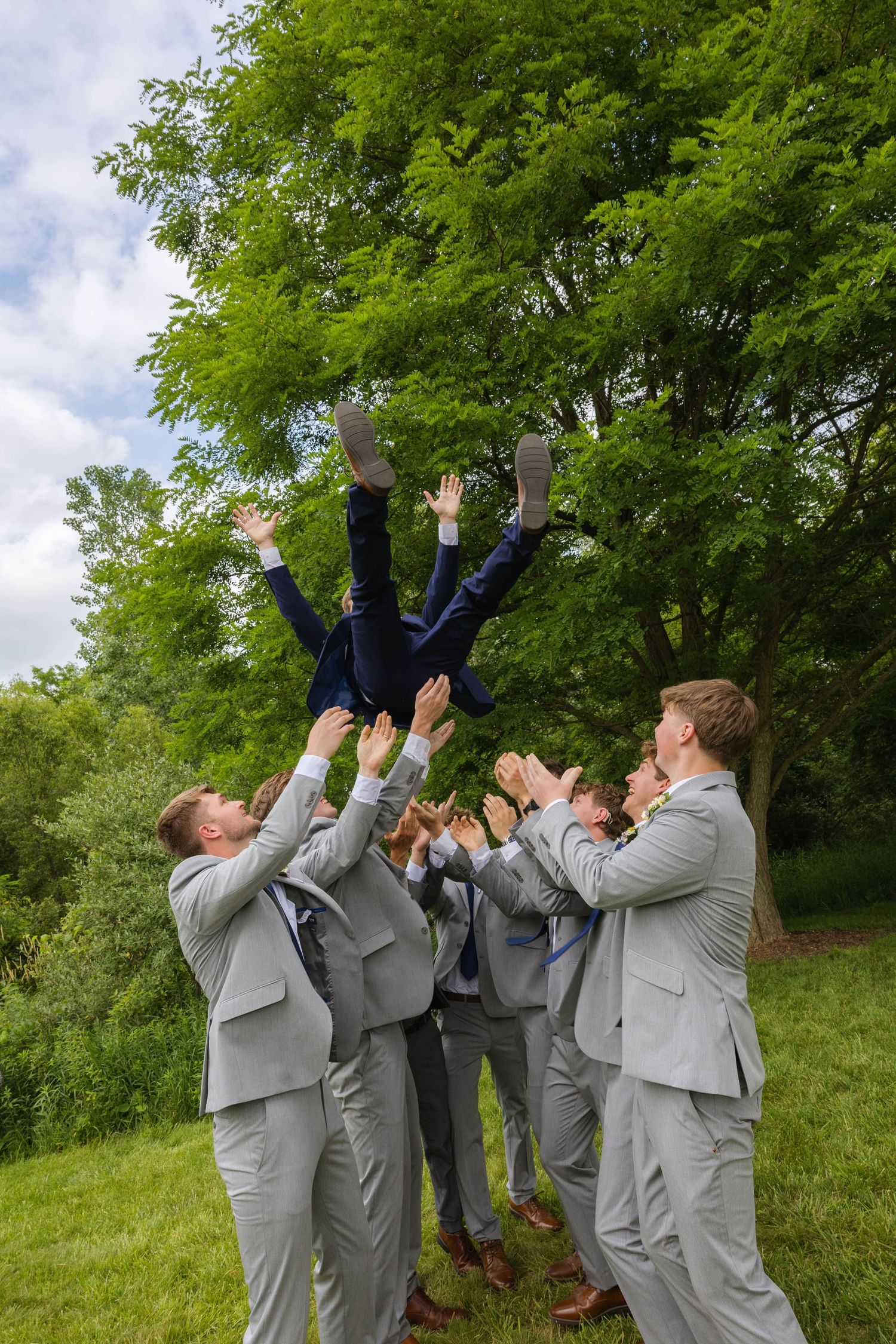 Groomsmen in gray suits tossing the groom in the air outdoors on a green lawn with trees in the background.
