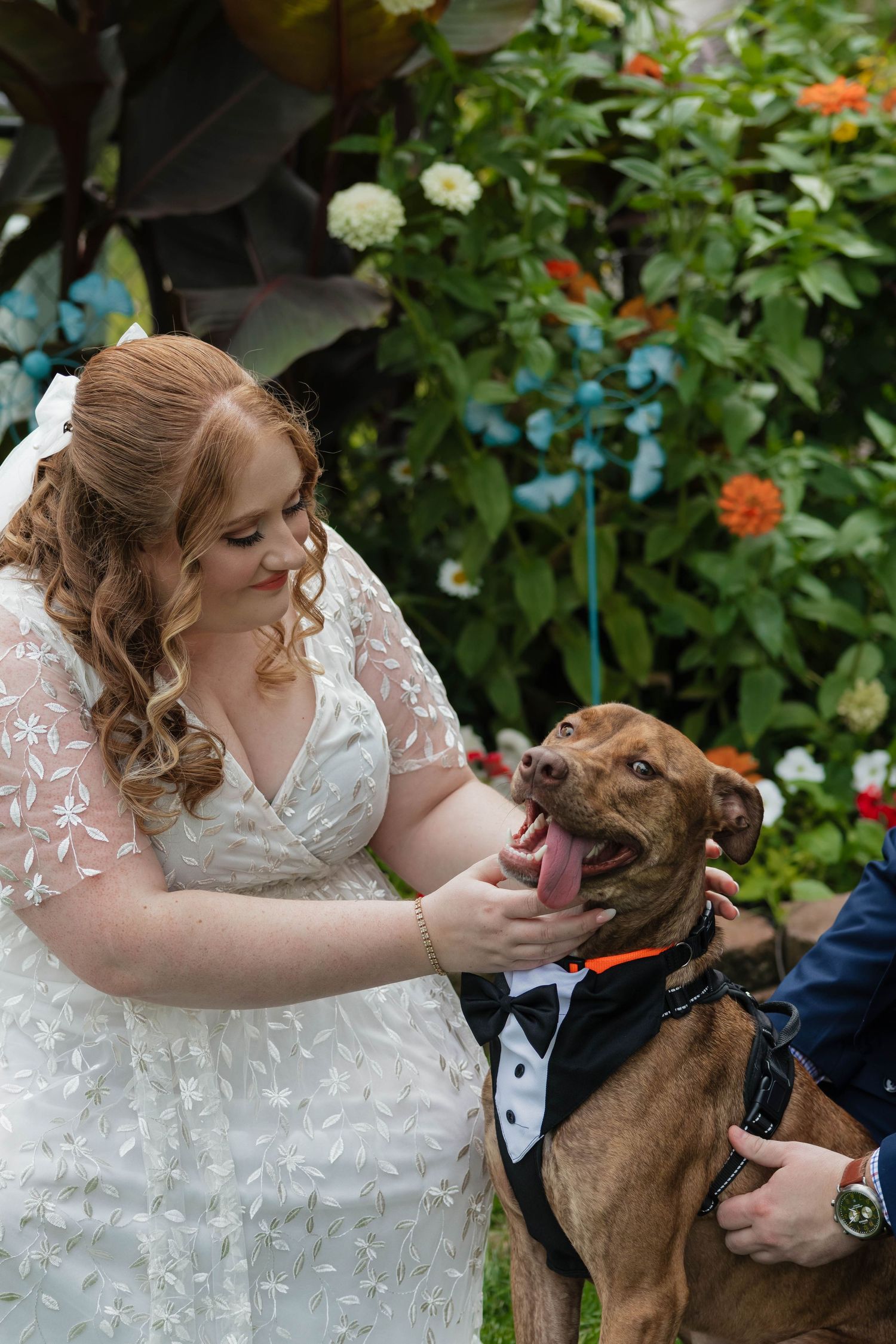 Bride in white lace gown laughing with brown dog dressed in tuxedo at wedding.