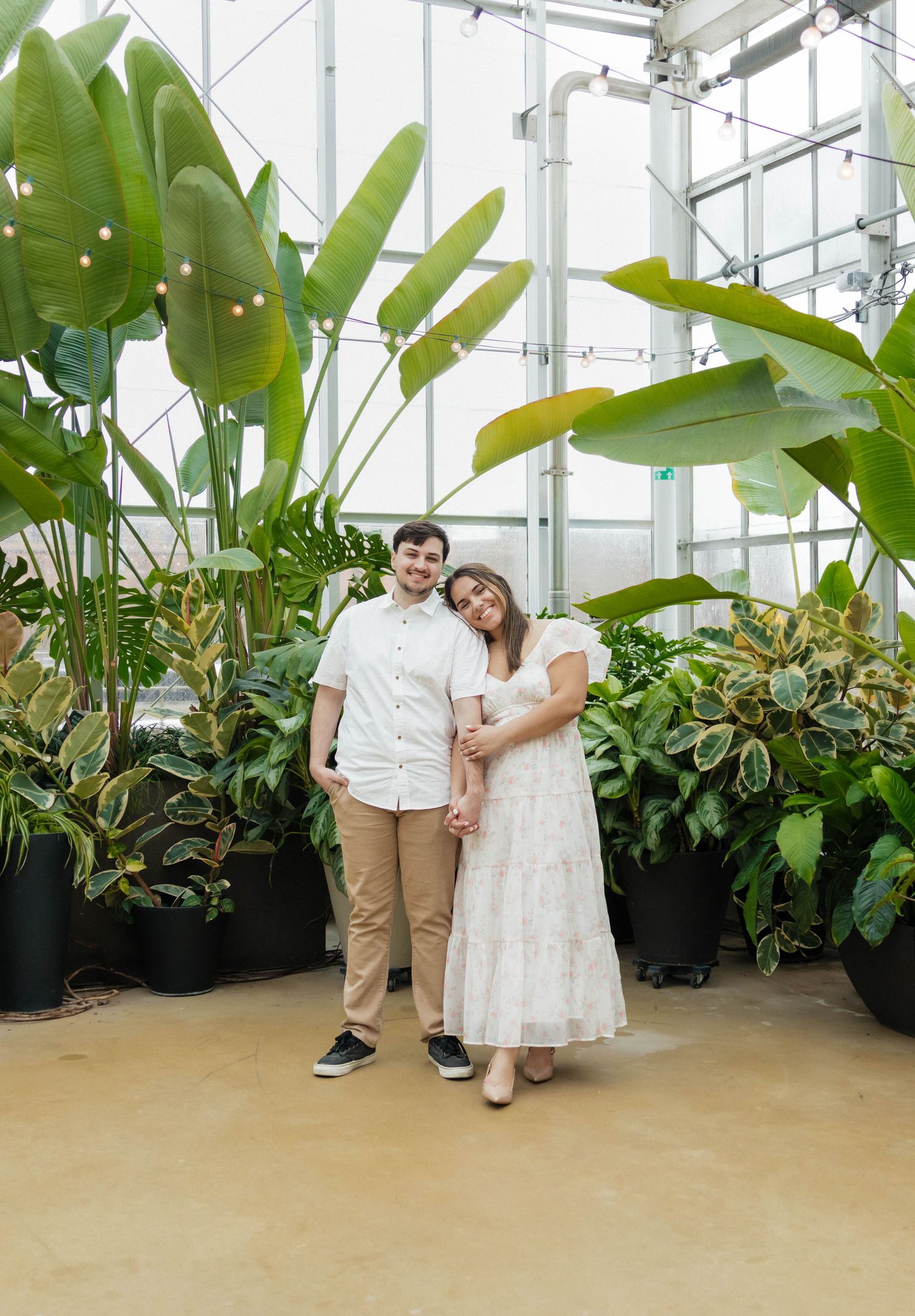 Couple holding hands and posing among lush tropical plants in a bright greenhouse.