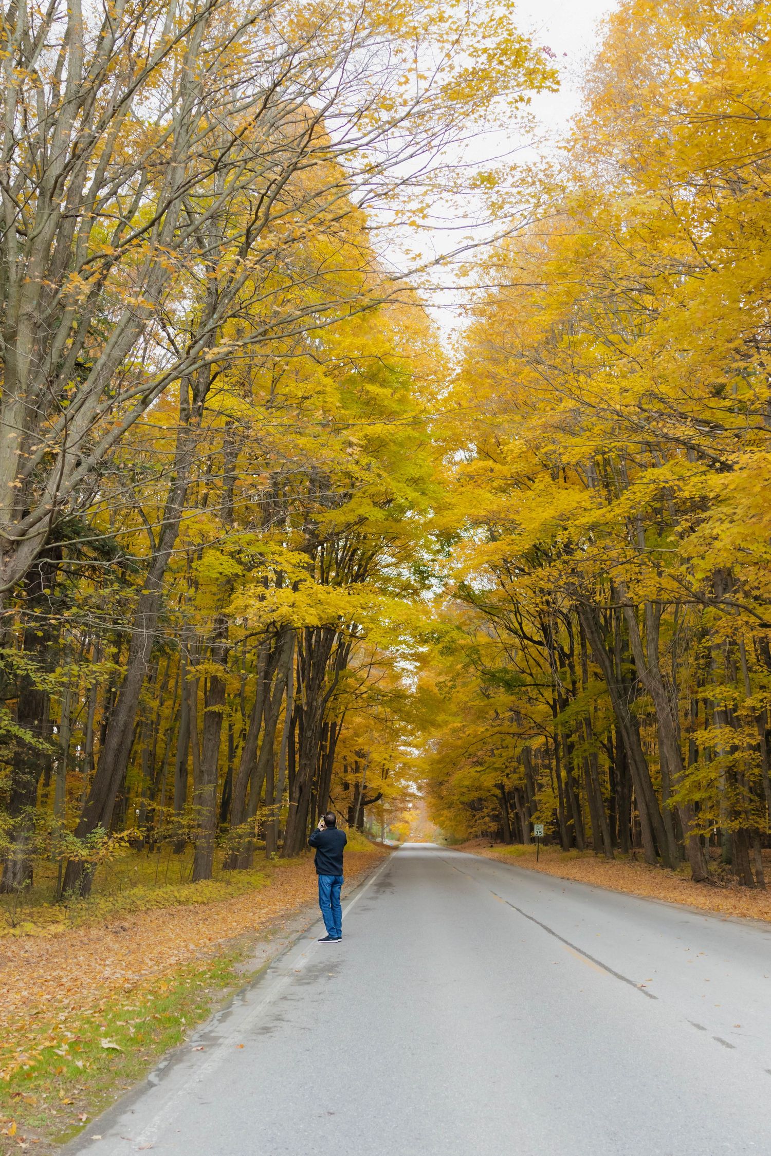 Lone person standing on scenic autumn road surrounded by vibrant yellow and orange fall trees.