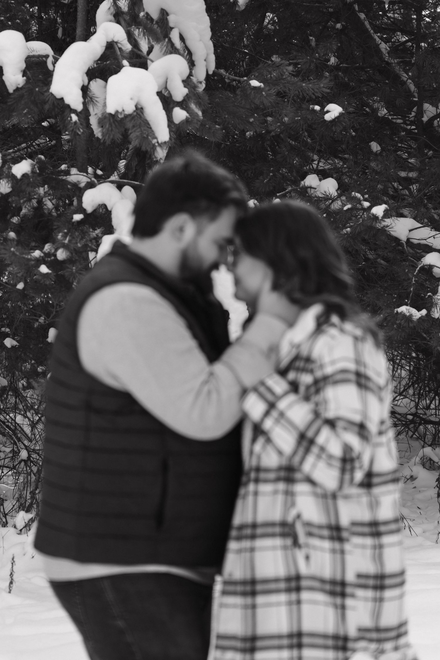 Black and white intimate moment of couple touching foreheads tenderly in front of snow-covered pine trees.