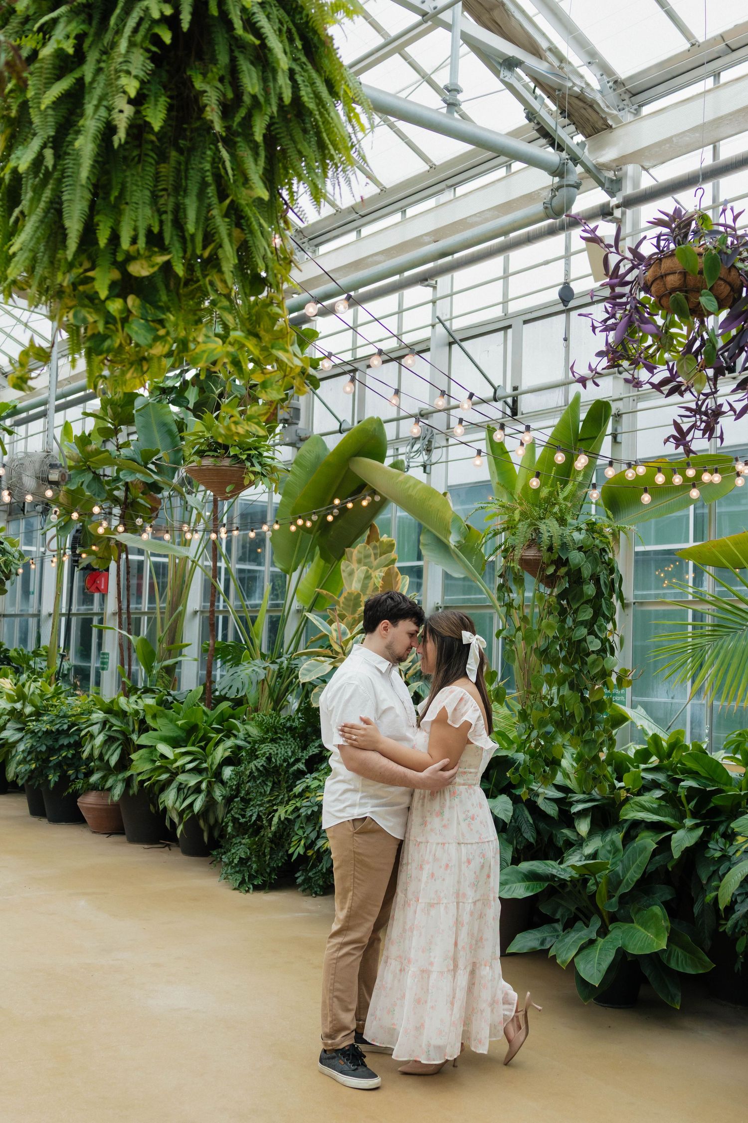 Couple sharing a tender kiss surrounded by lush tropical plants inside a sunlit greenhouse.