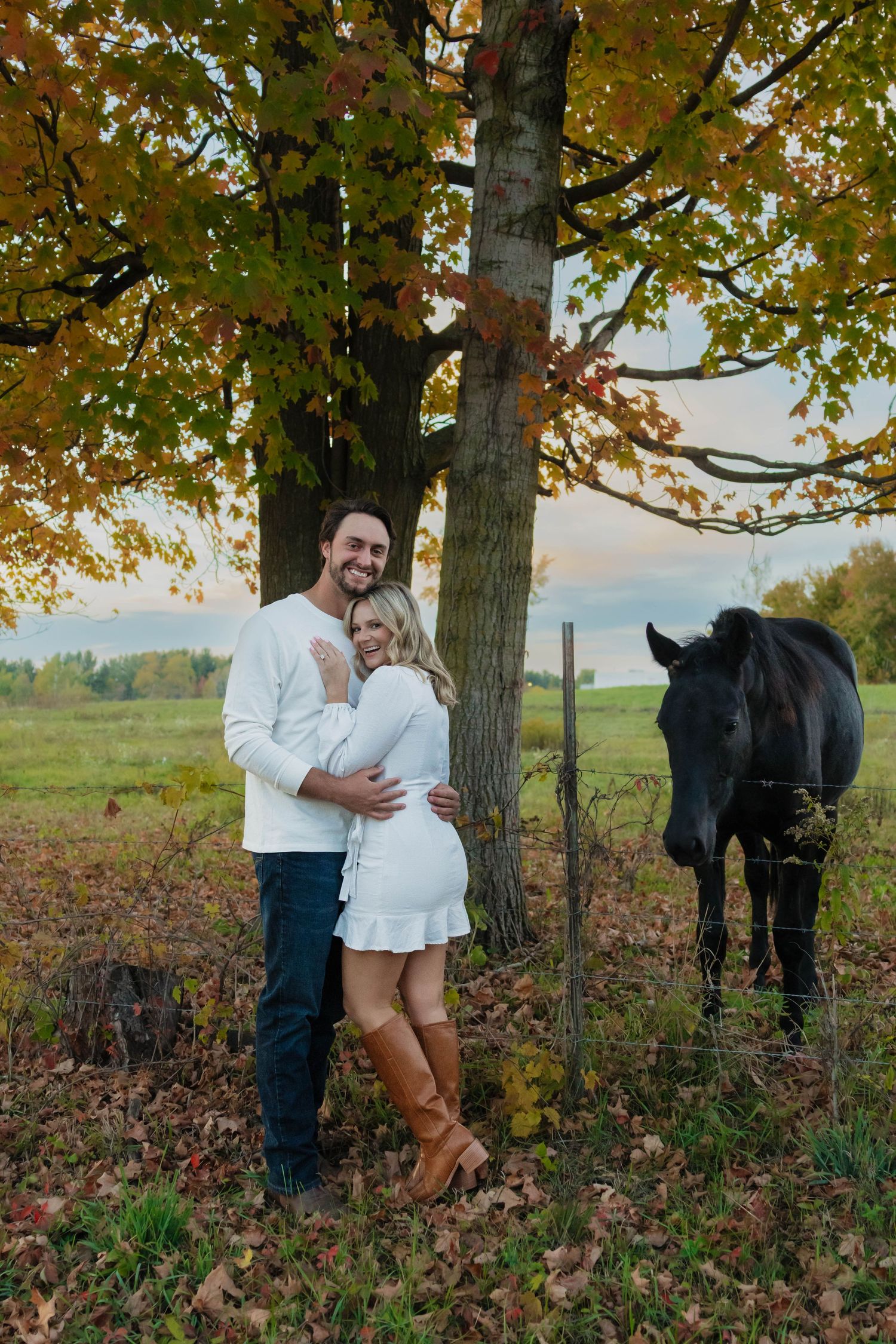 Couple embracing and smiling under a colorful autumn tree beside a black horse in a rural field.