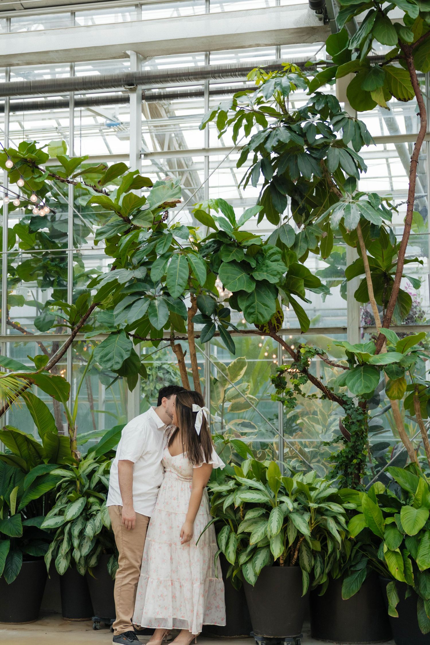 Couple sharing a quiet moment kissing beneath tall tropical trees inside a glass greenhouse.