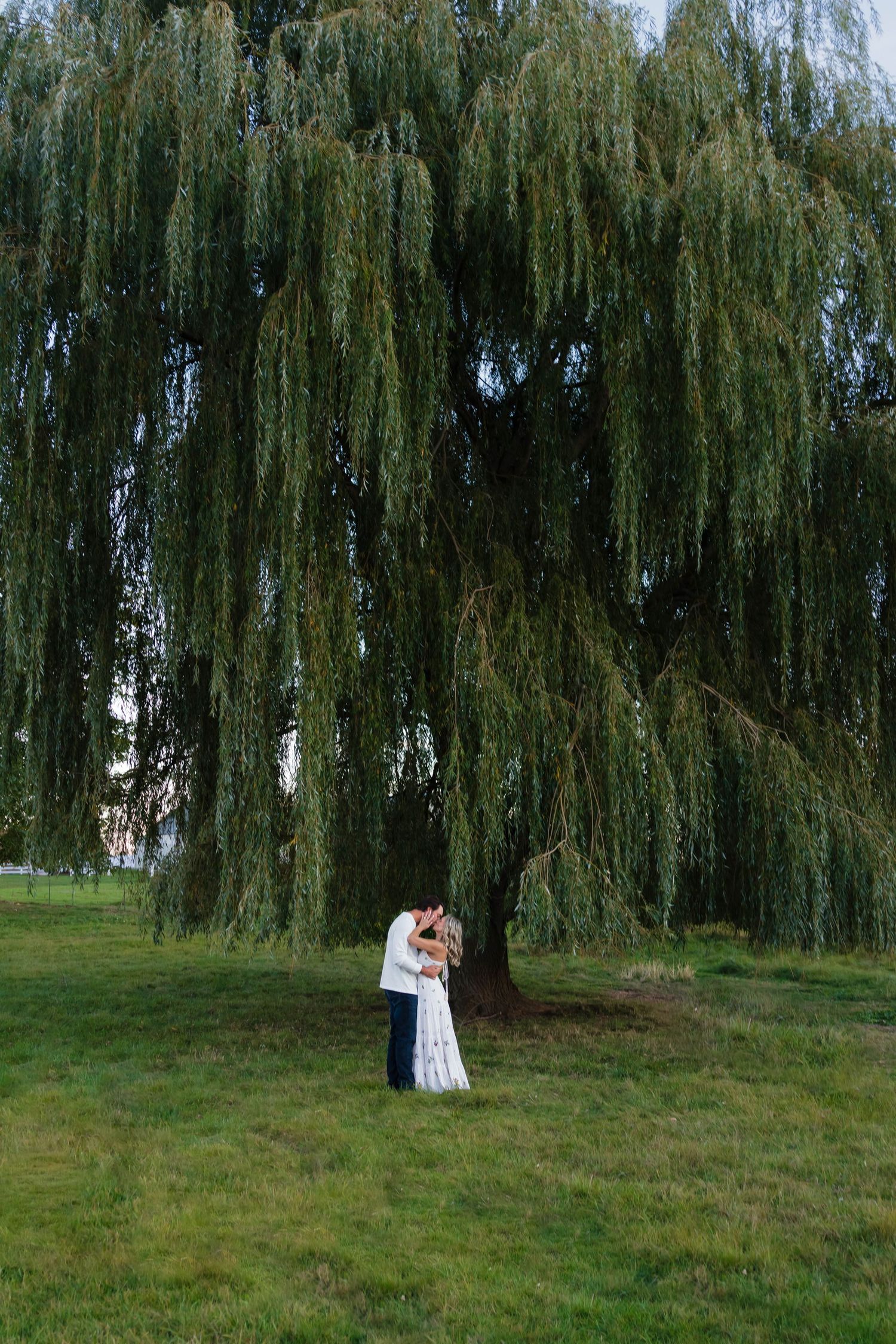 Couple embracing and kissing under a large weeping willow tree in a lush green park at dusk.