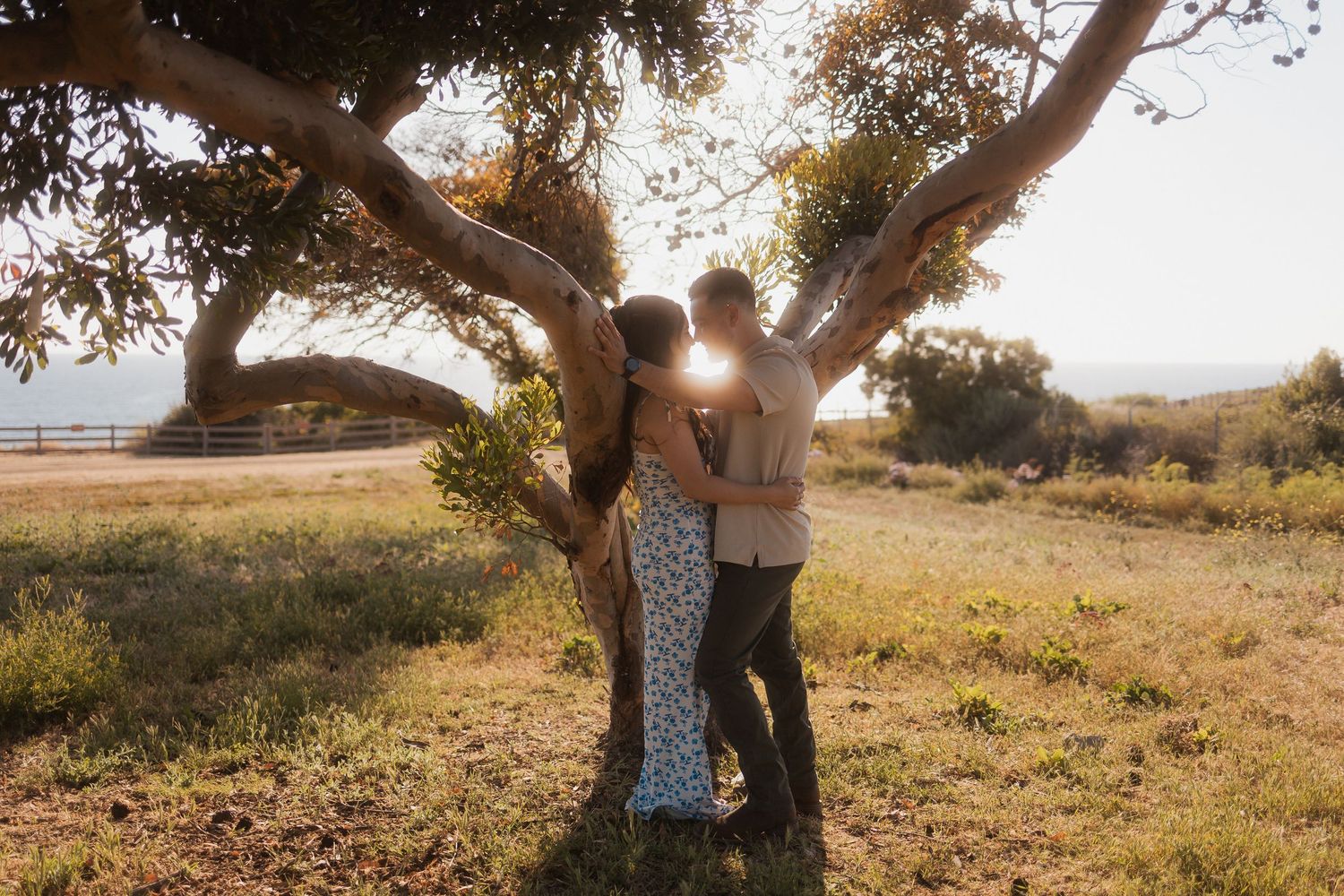 Silhouetted couple stands together against large tree at sunset in golden meadow during romantic outdoor photoshoot.