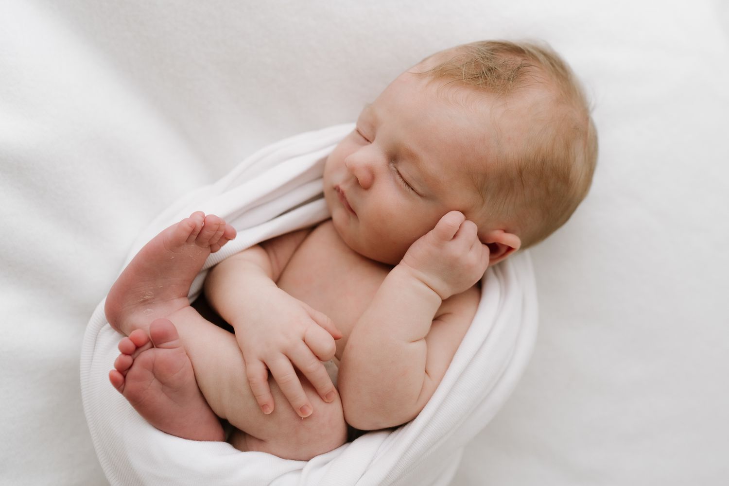 newborn sleeping baby wrapped in white blanket during studio session in Auckland