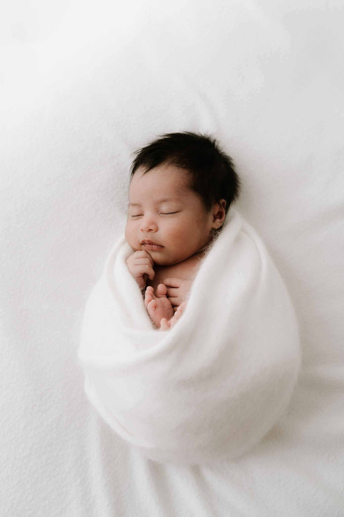 newborn sleeping baby wrapped in white blanket during studio session in Auckland