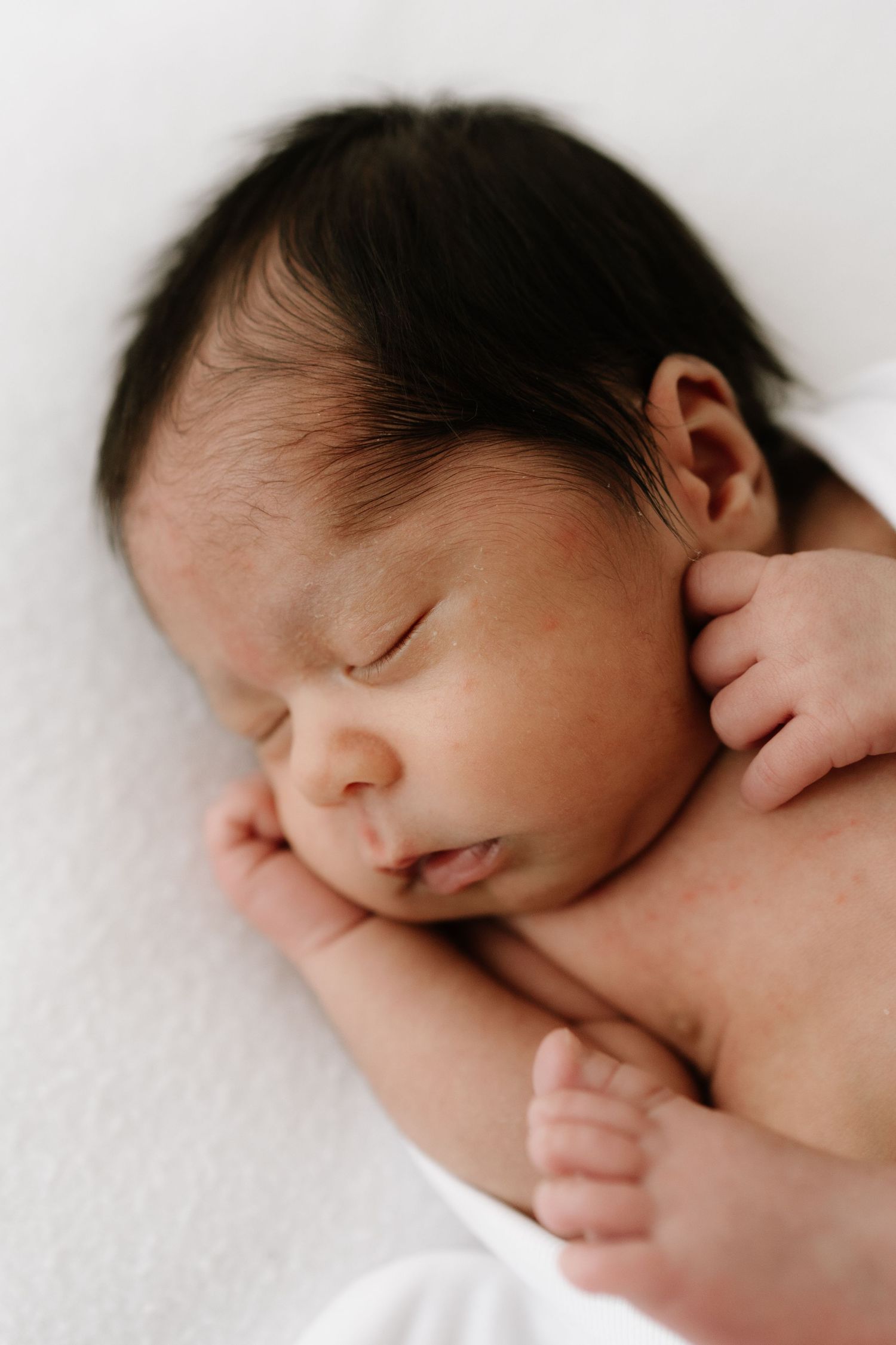Sleeping baby in a natural light pose, captured by Auckland newborn photographer Little Wild Ones.