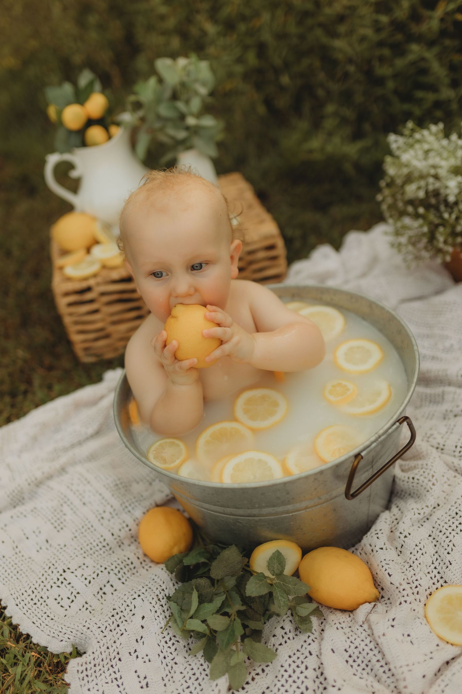 A baby sits in a metal tub with citrus slices and oranges on white lace fabric during a rustic outdoor photo session.
