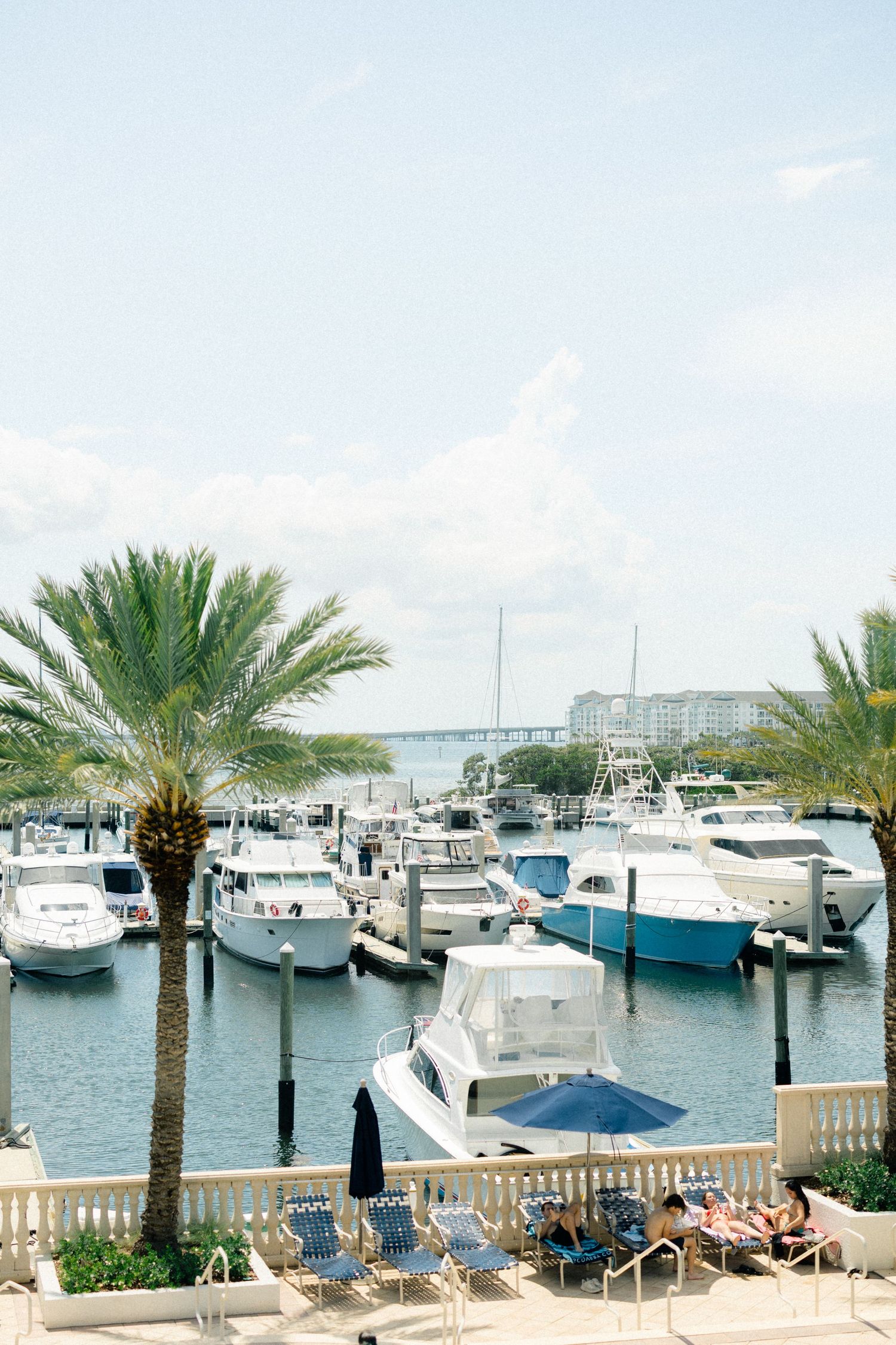 Luxury yachts docked at a sunny marina with palm trees, blue umbrellas, and sunbathers relaxing on the waterfront.