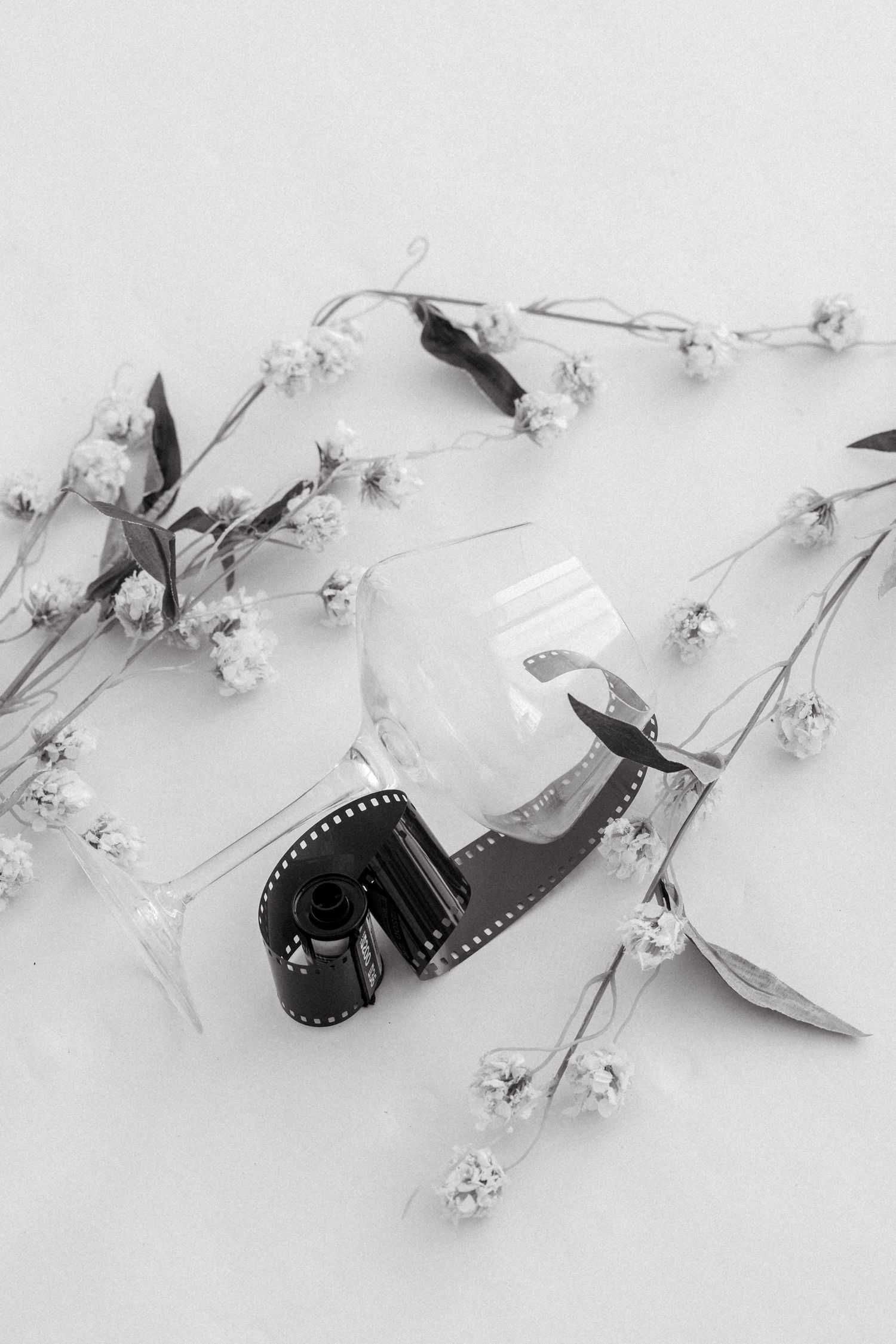 Black and white photo of film roll and wine glass surrounded by delicate dried flowers on white background.