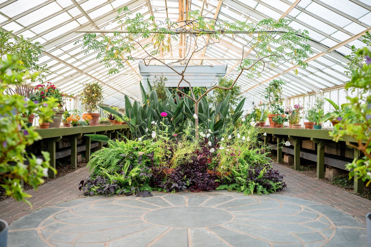 Interior of greenhouse conservatory filled with tropical plants and stone pathway.