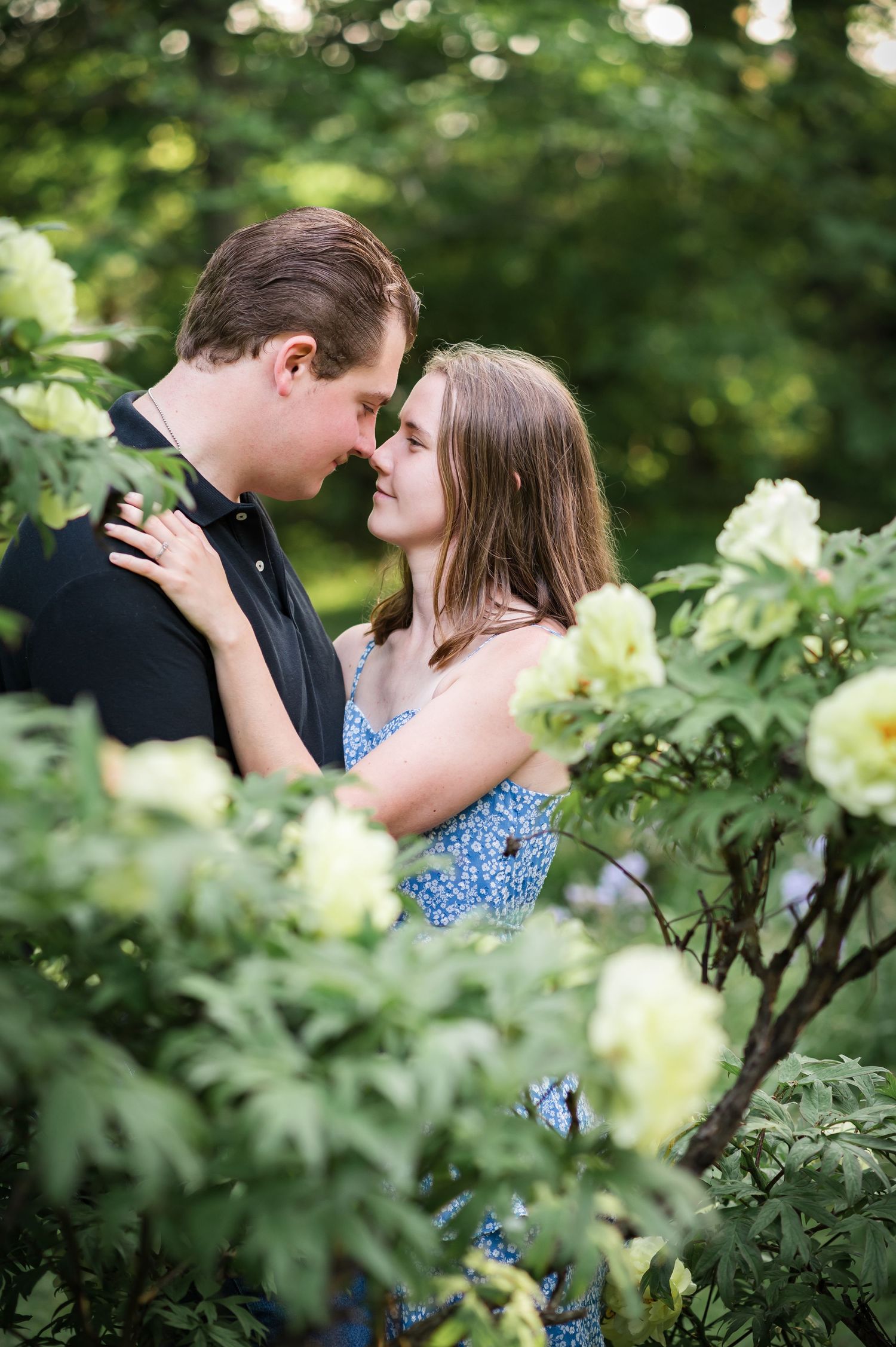 A romantic couple embraces among blooming white hydrangea bushes in a garden setting during golden hour.