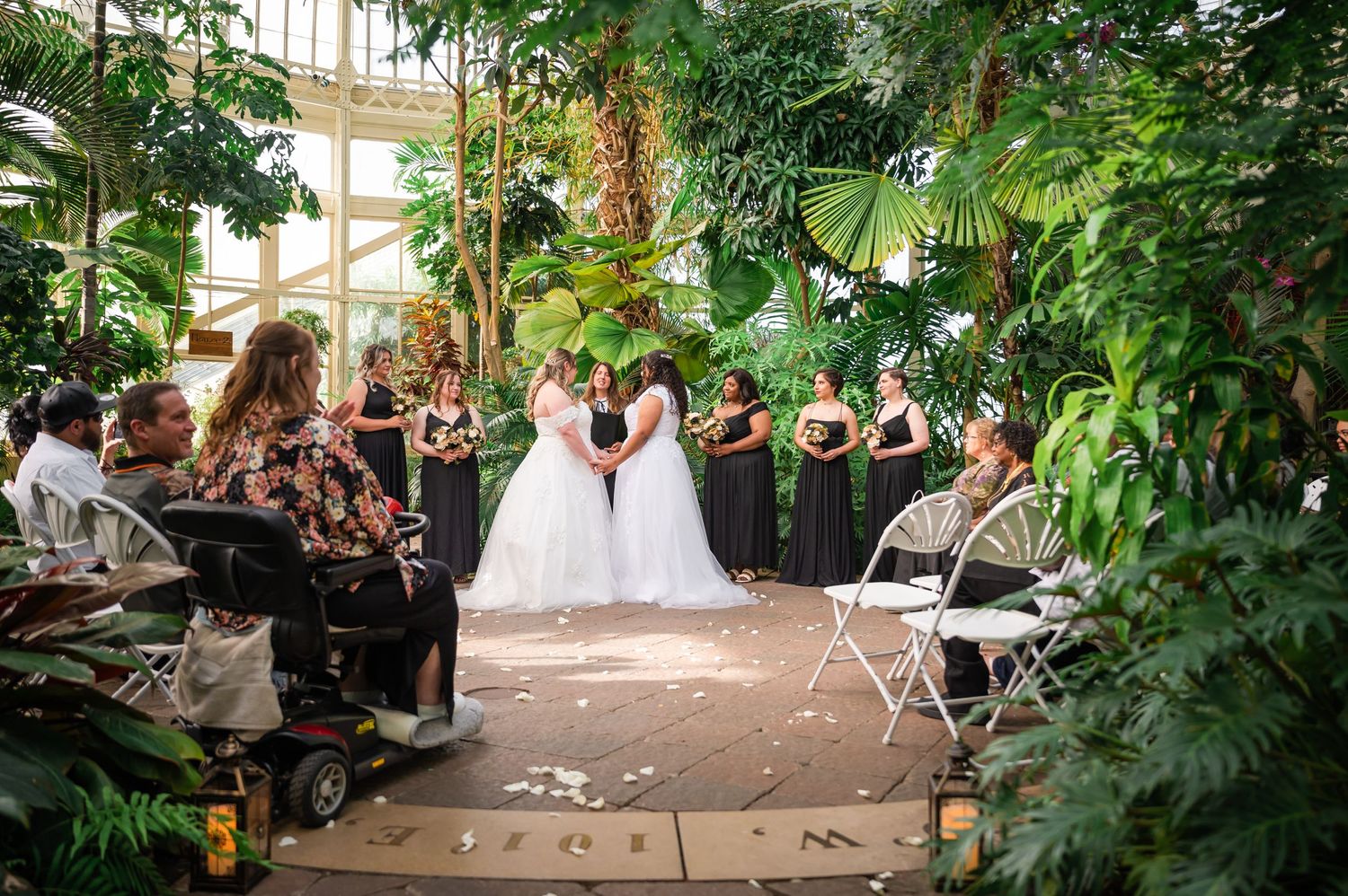 Wedding ceremony in a greenhouse with guests seated among tropical plants.