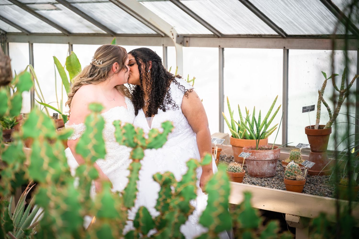 A romantic moment shared in a greenhouse filled with plants and natural light.