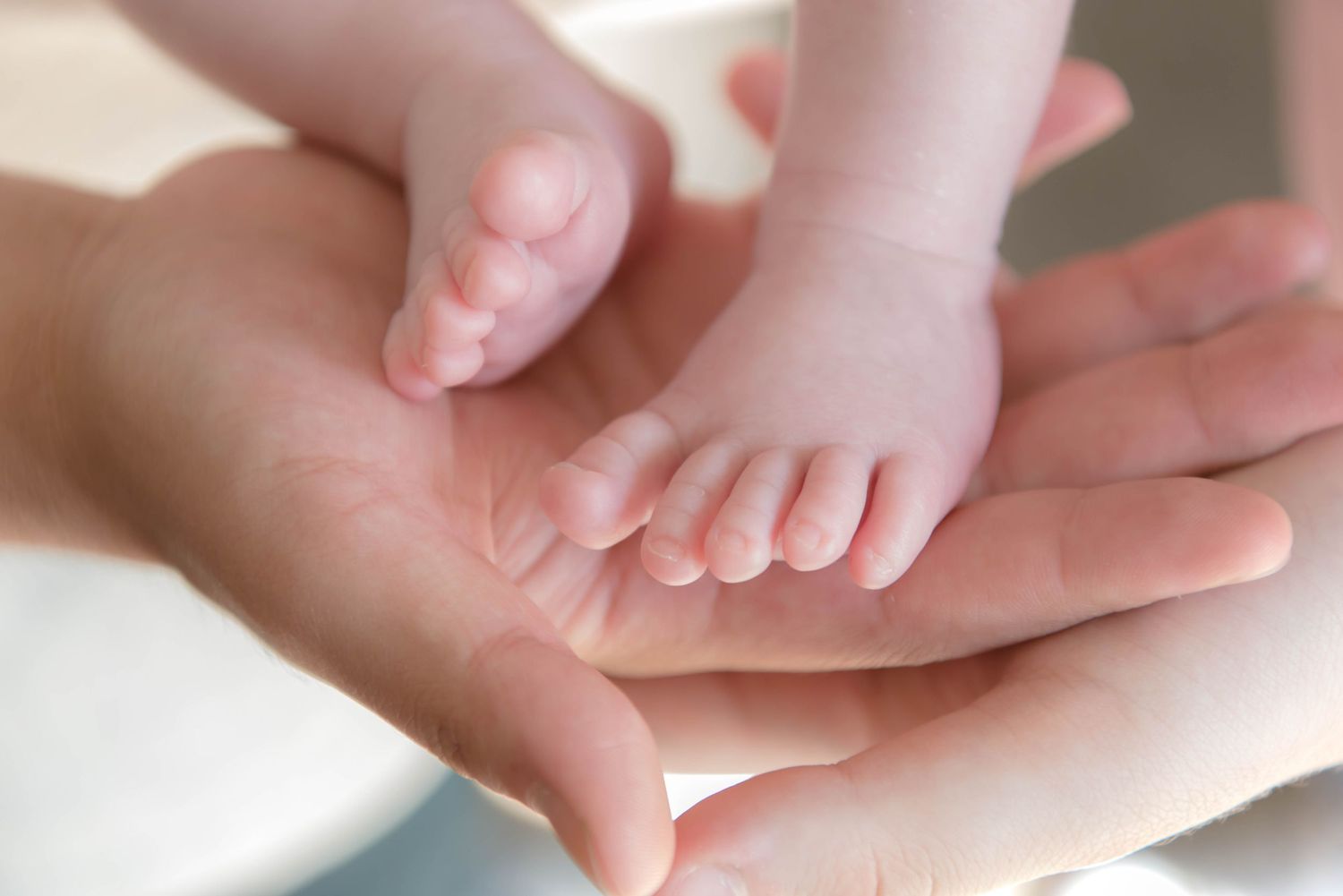 Close-up photo of tiny newborn baby feet being gently held in adult hands against white background.