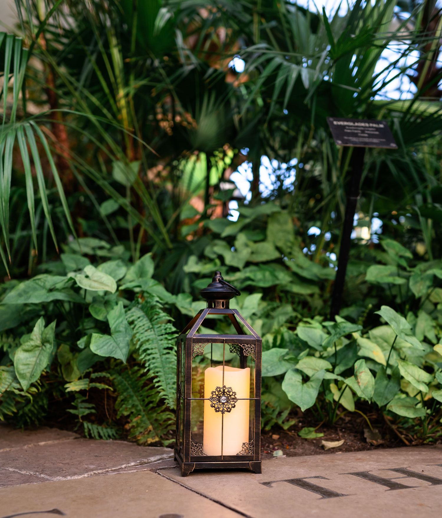 A decorative lantern with glowing light sits on a garden path surrounded by lush tropical plants and ferns.