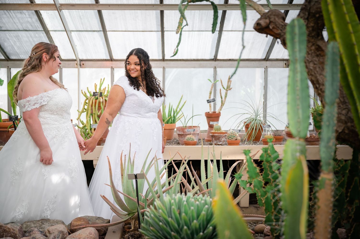 Couple explores a lush greenhouse filled with tropical plants and natural light streaming through the glass ceiling.