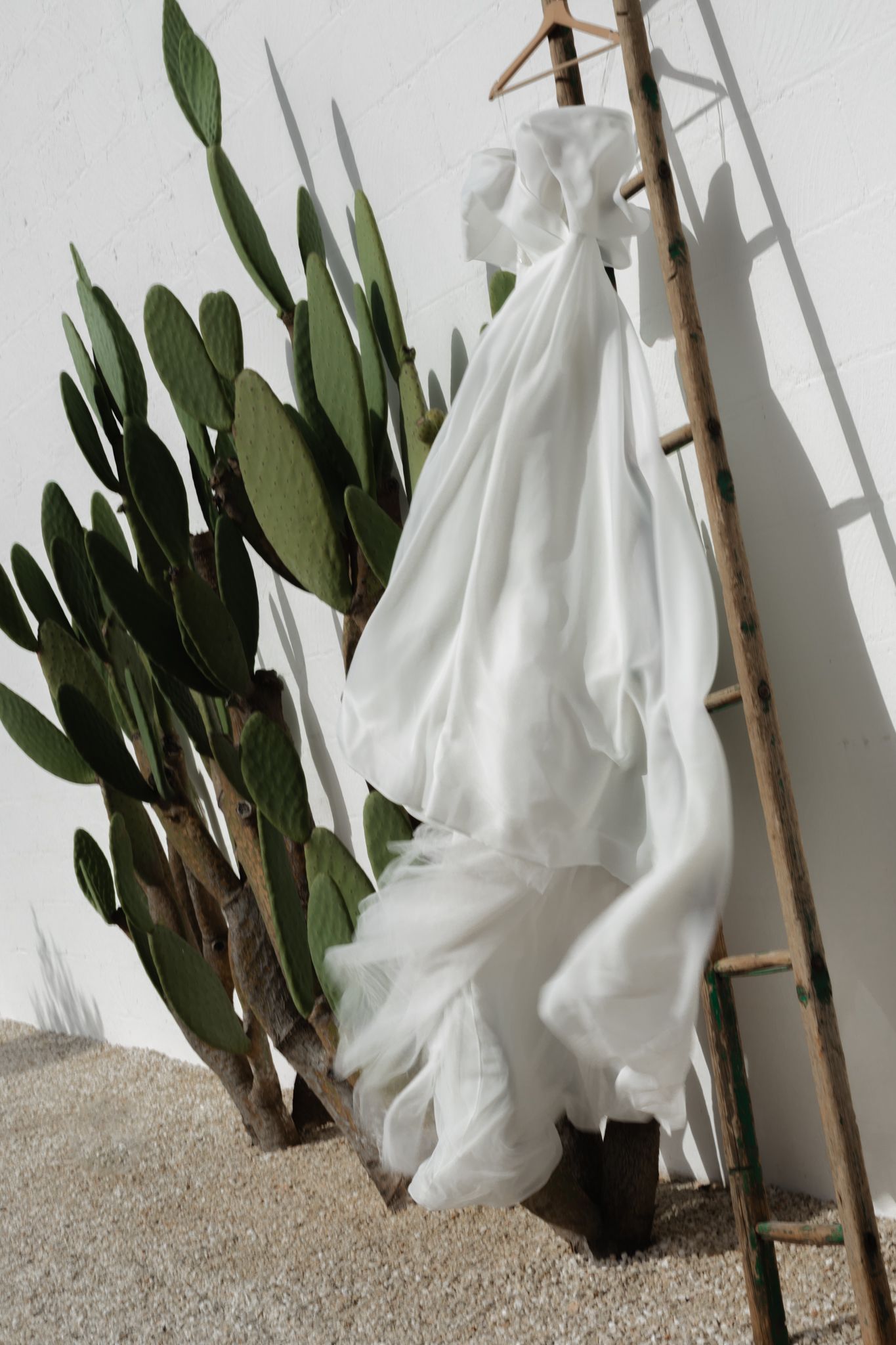 wedding dress hanging from a wooden ladder flowing in the wind against cacti