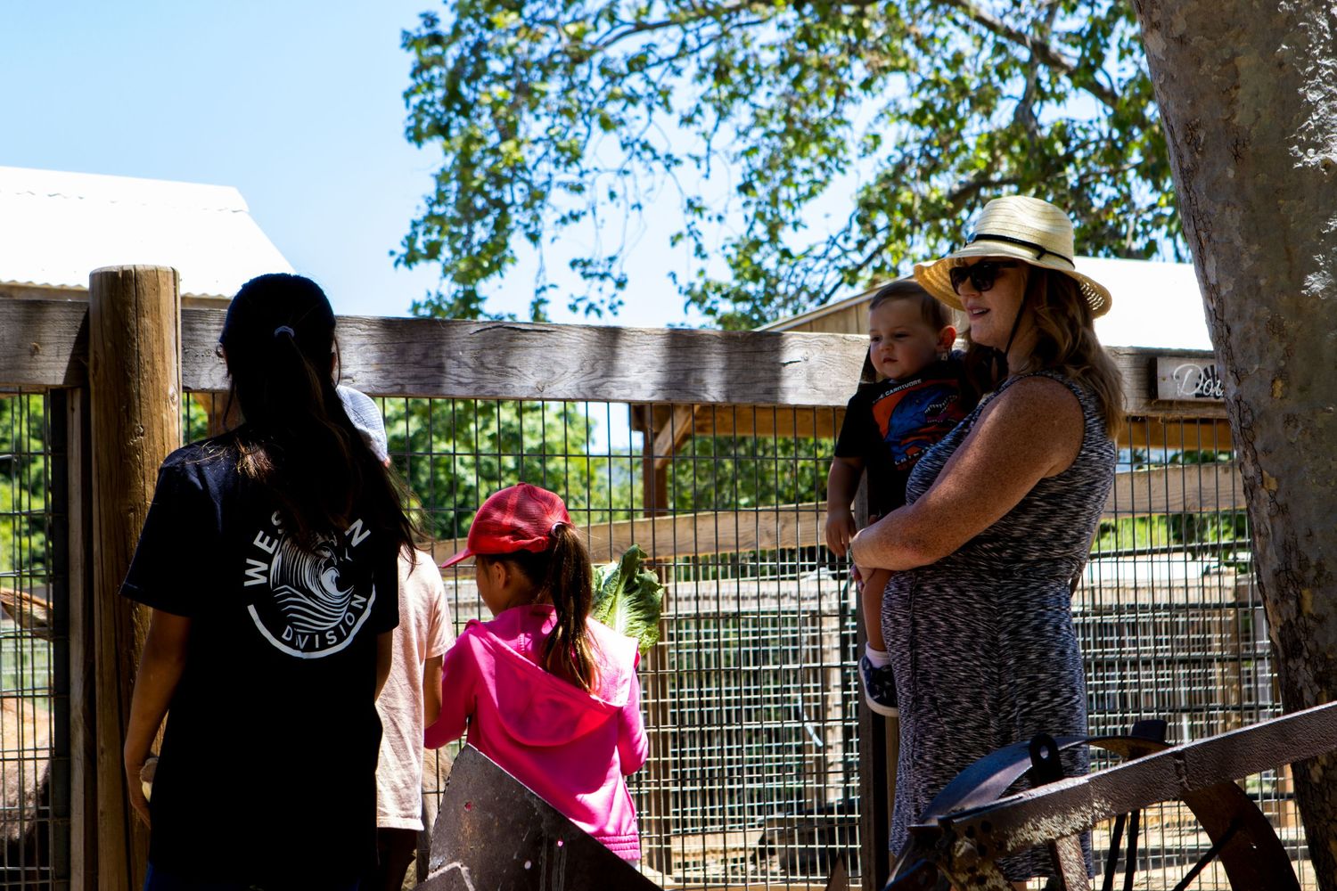 Group of visitors watching animals at a zoo enclosure on sunny day.