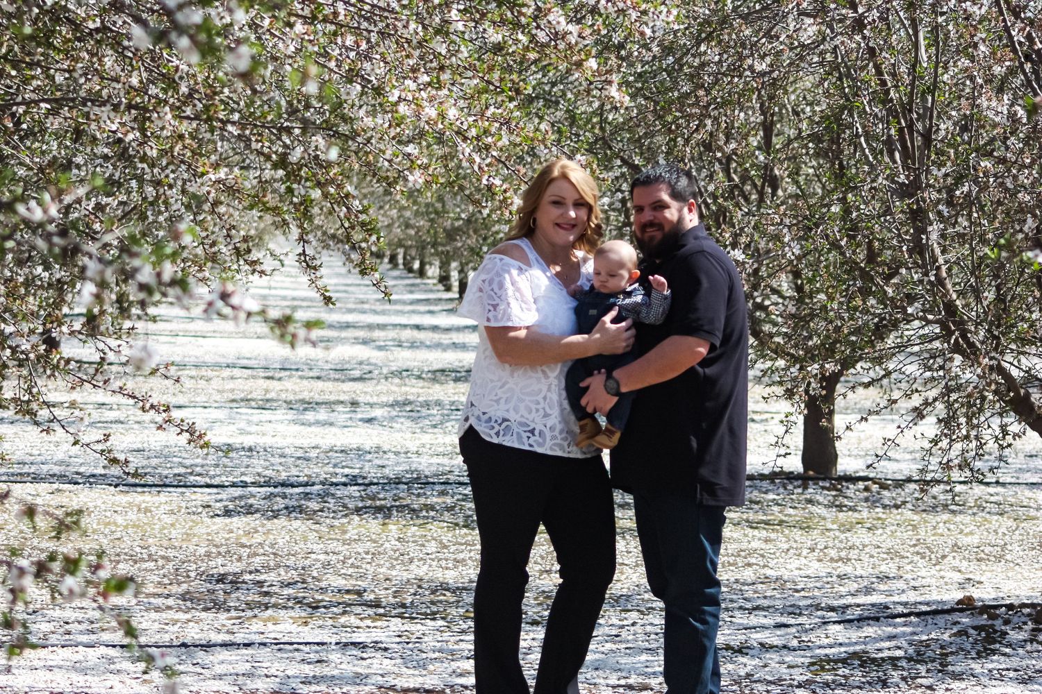 Two people stand together on a pathway surrounded by blooming almond trees in an orchard.