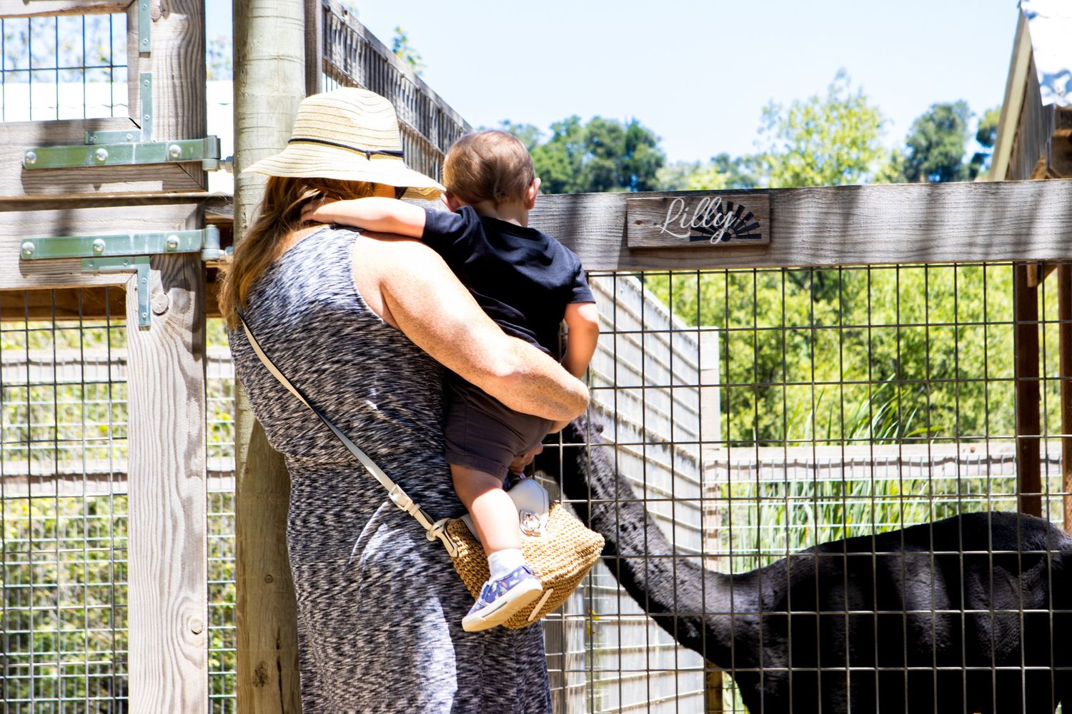 Adult holding child while looking at zoo exhibit through fence.