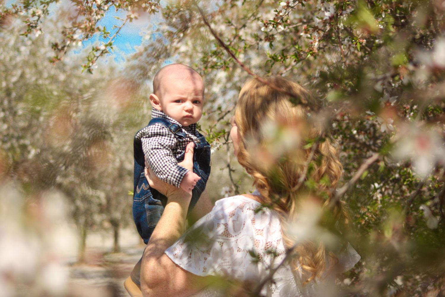 Baby in denim overalls held up among blooming spring tree branches.