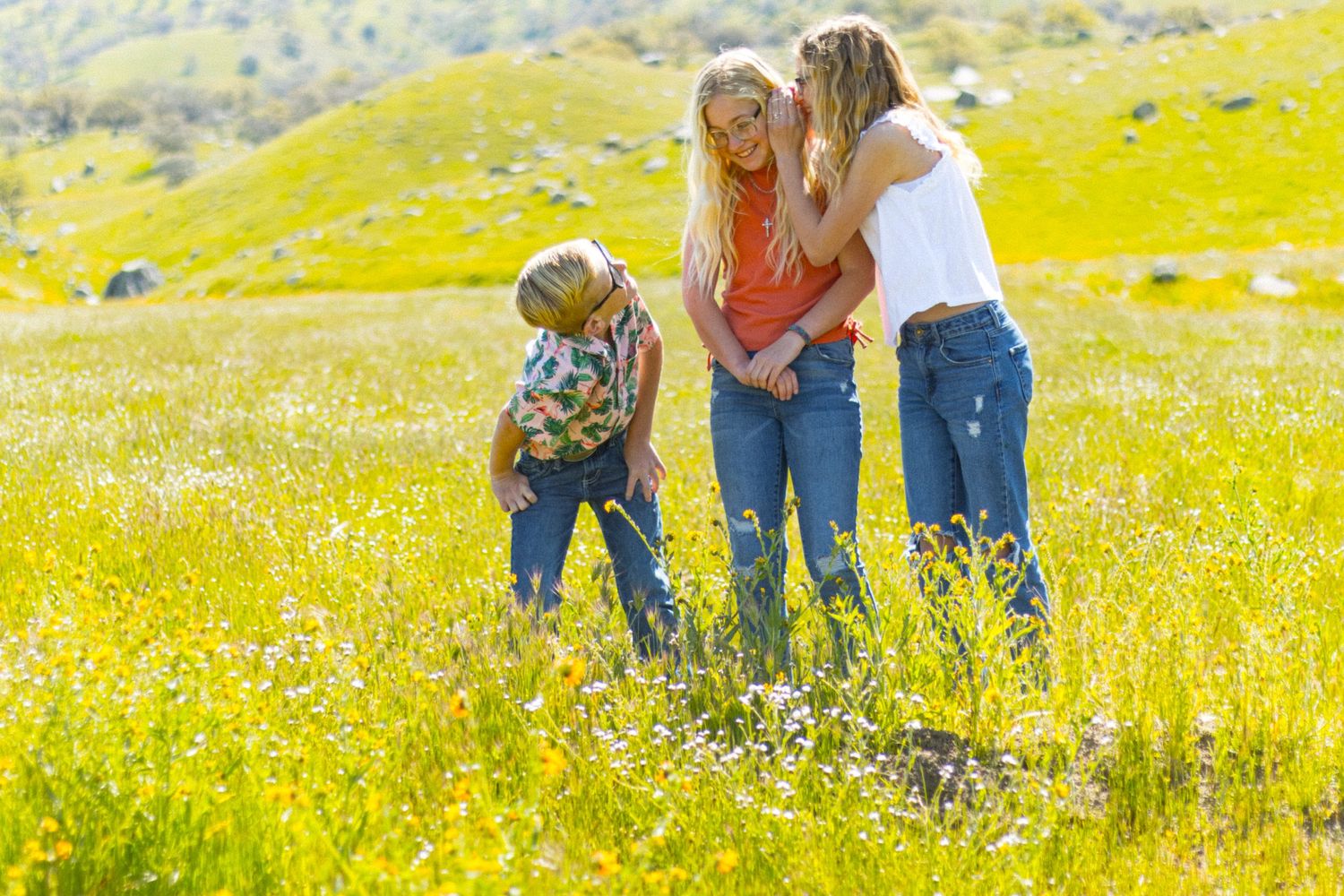 People enjoying a sunny day in a wildflower meadow with rolling hills in the background.