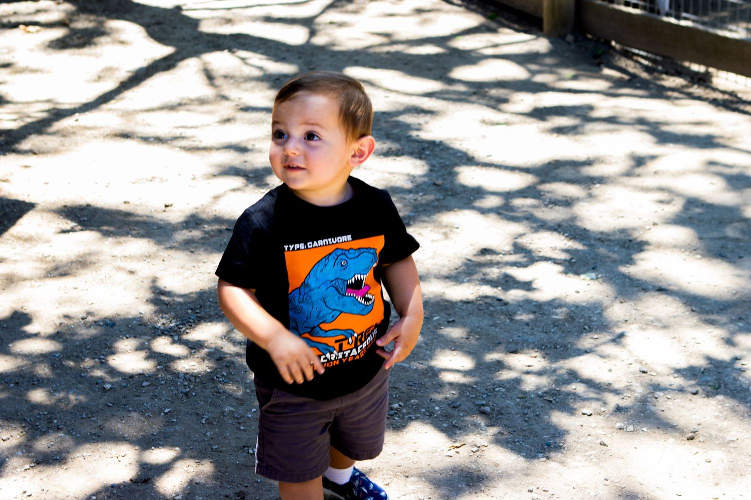 Young child in graphic t-shirt standing in dappled sunlight.