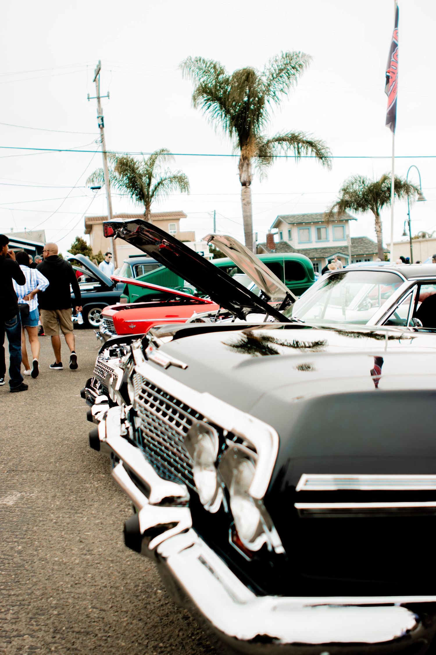 Classic vintage car show featuring automobiles with open hoods on display under palm trees.