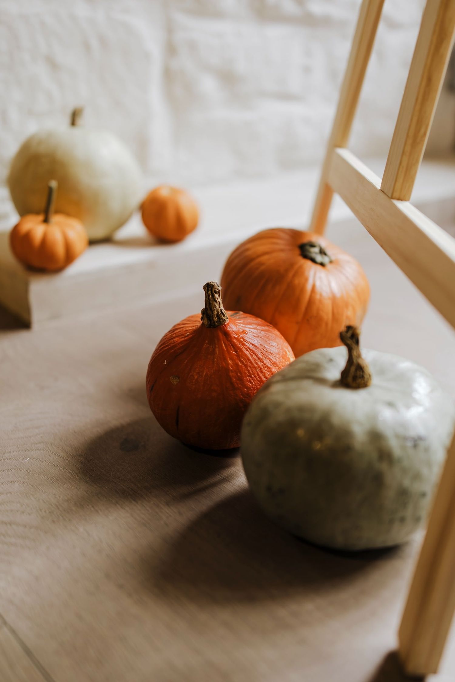 Assorted orange and green pumpkins arranged on a wooden surface for a fall harvest display.