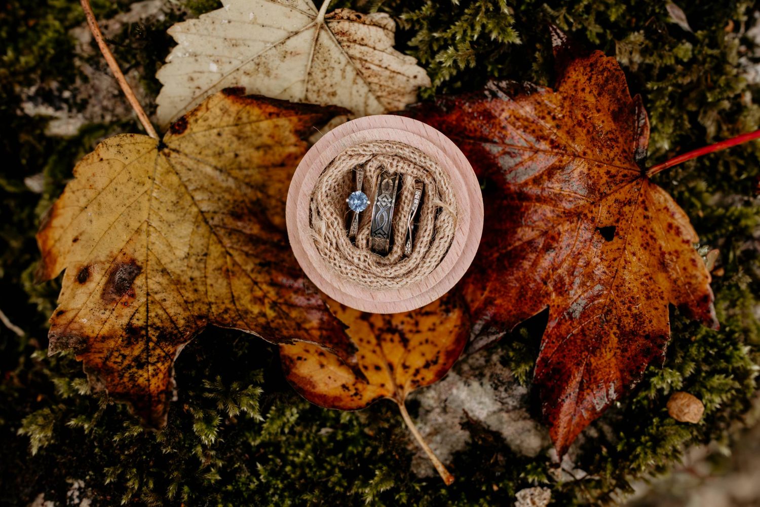 Engagement ring in a round box on autumn leaves and moss, fall wedding proposal setting.