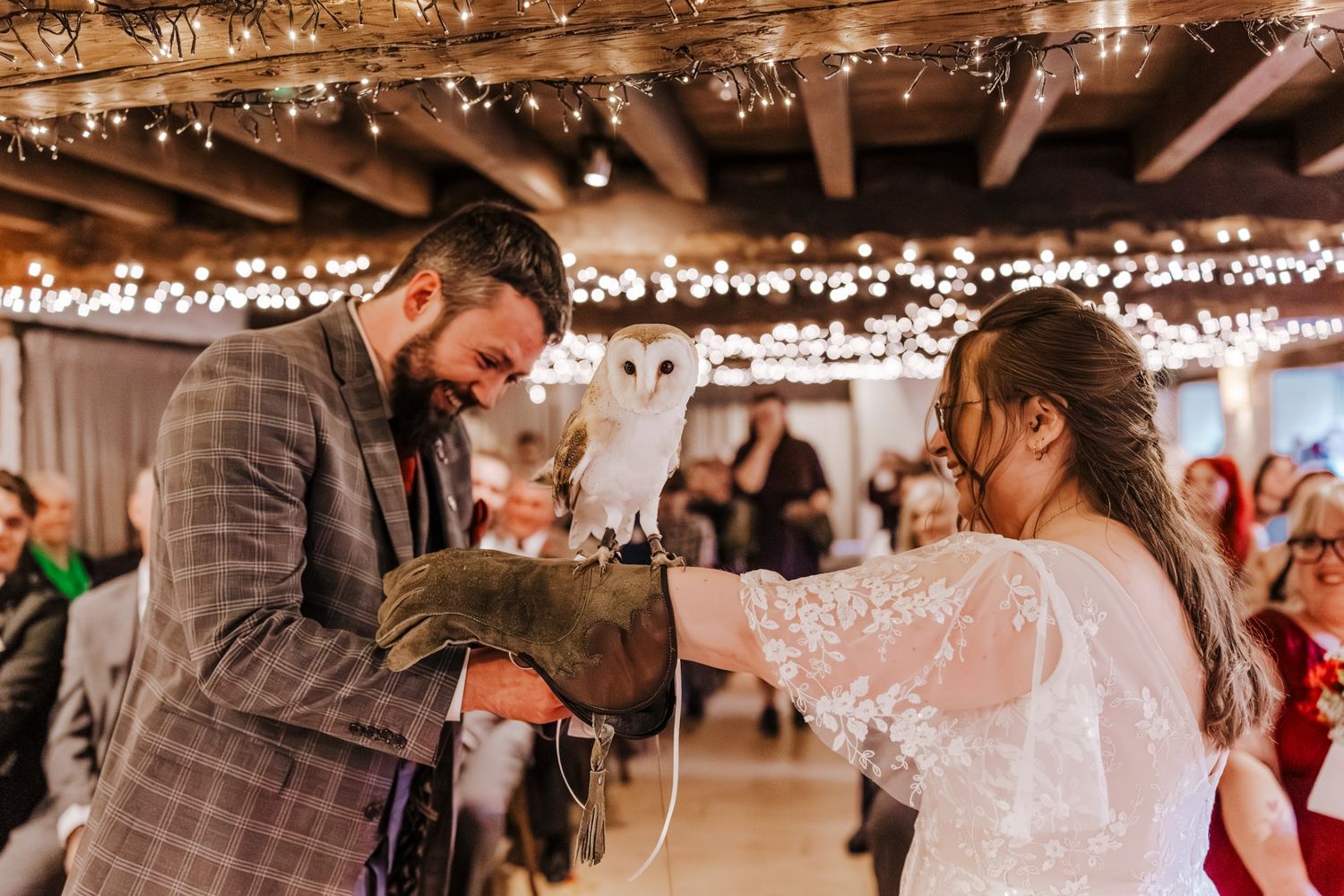 Bride and groom holding a barn owl on a gloved hand at their rustic wedding venue with fairy lights.