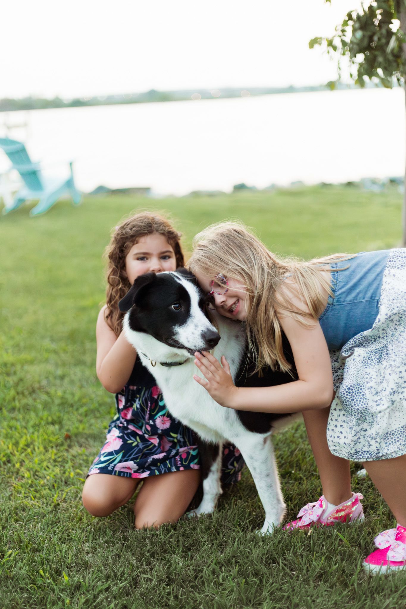 Two young girls happily petting a black and white dog on a grassy lawn.