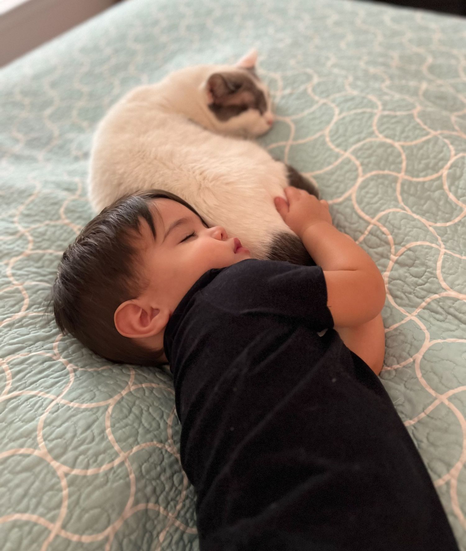 Children and their animals